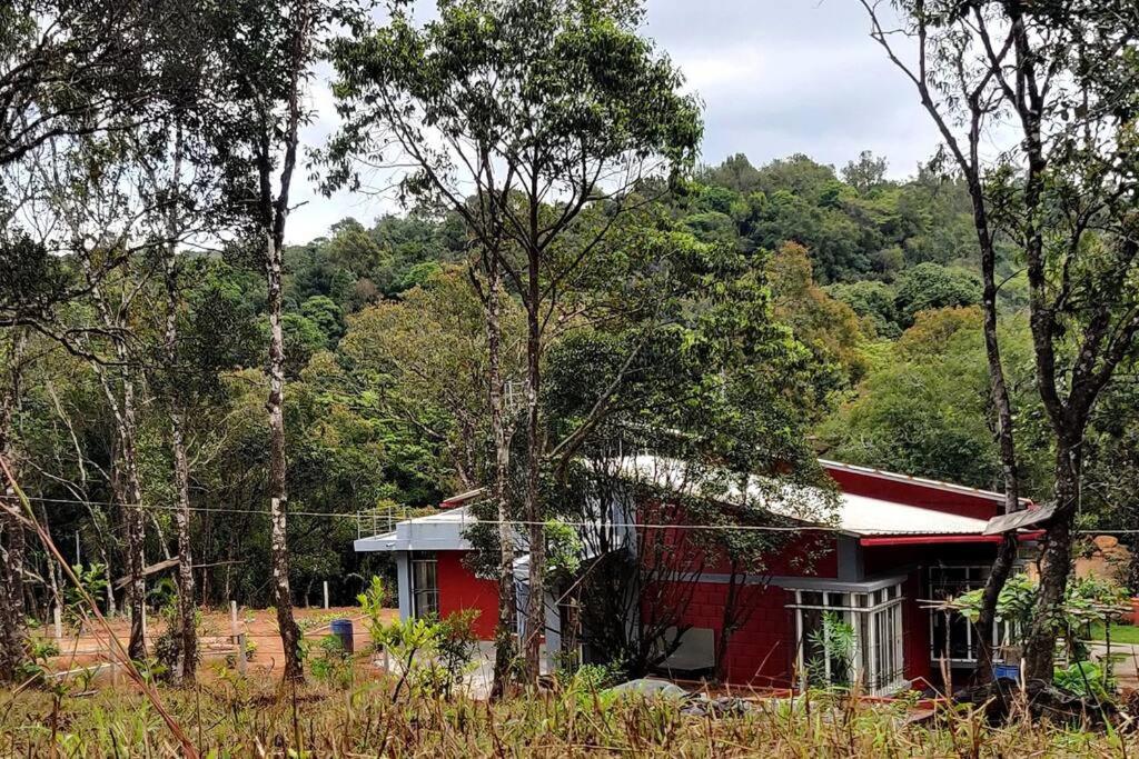 Dream Acres Homestay - Cozy Retreat Amidst Tranquil Landscapes - Entire place view 4