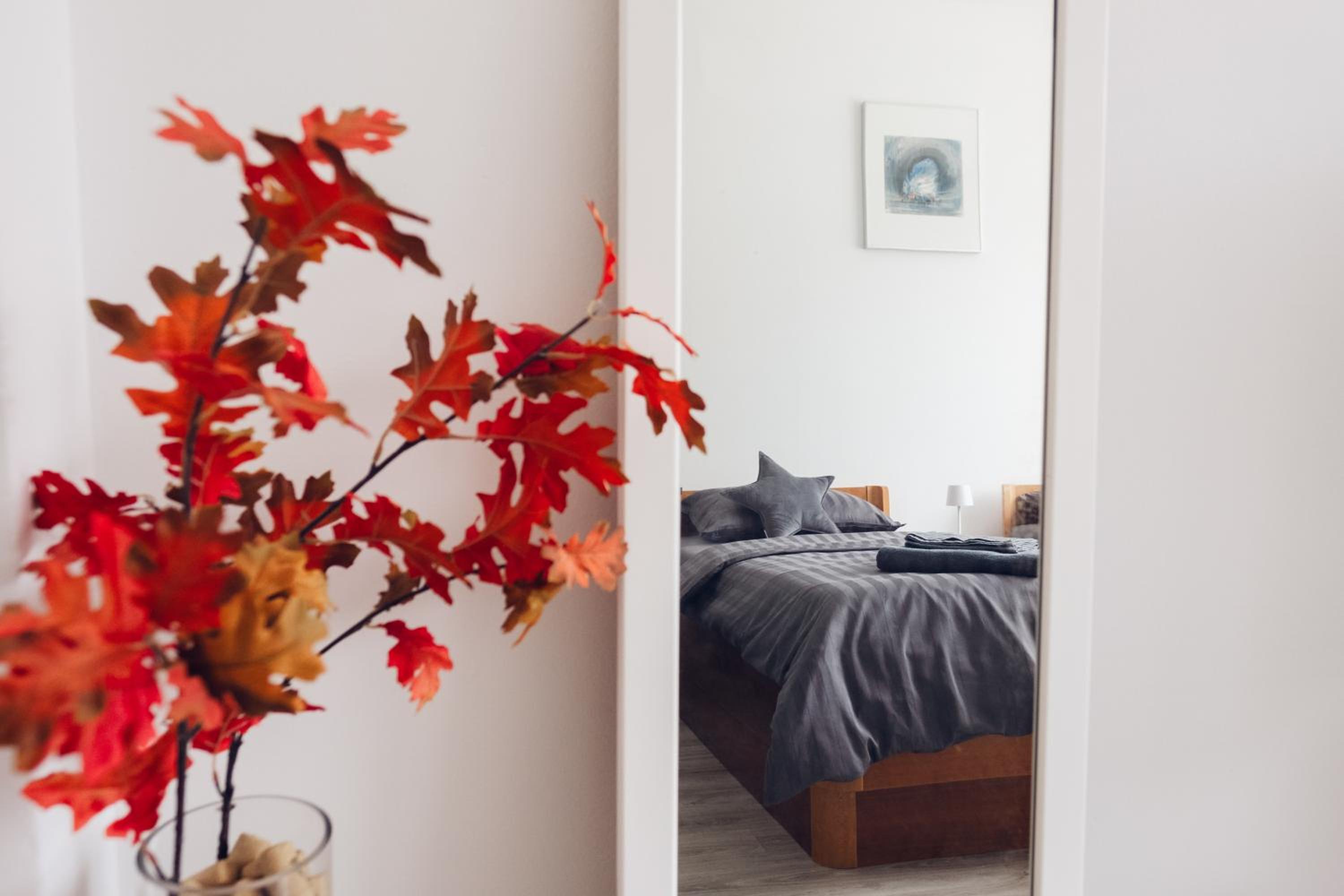 Apartman Marija Ilok
