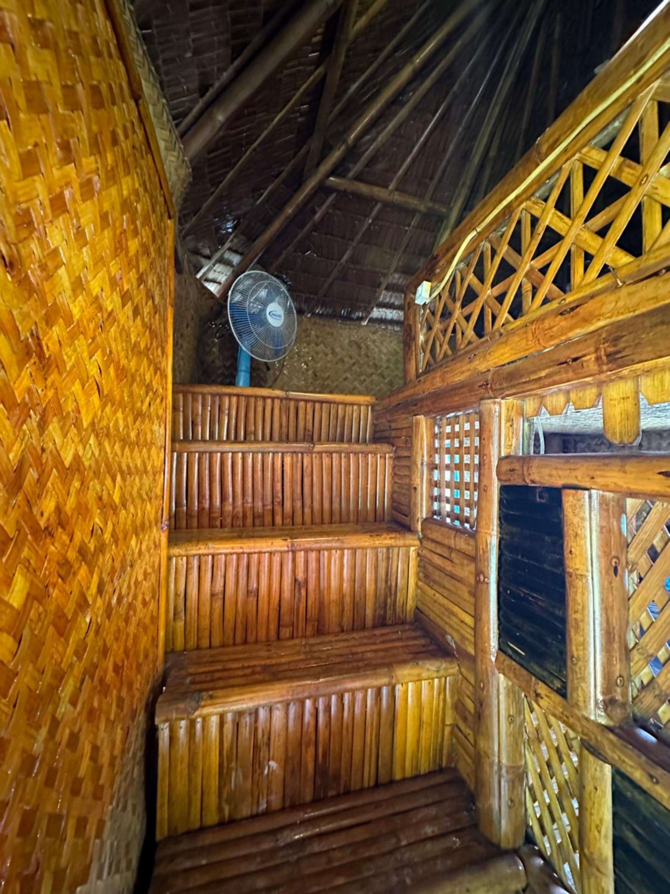 Photo 46