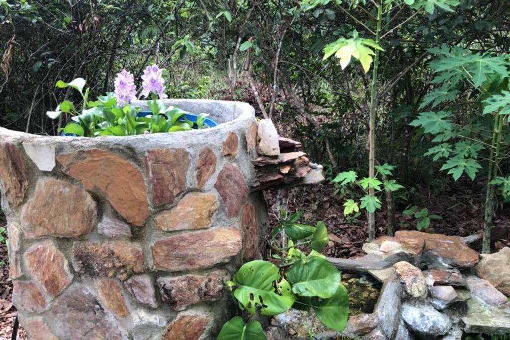 ECOS GAIA Casa Céu