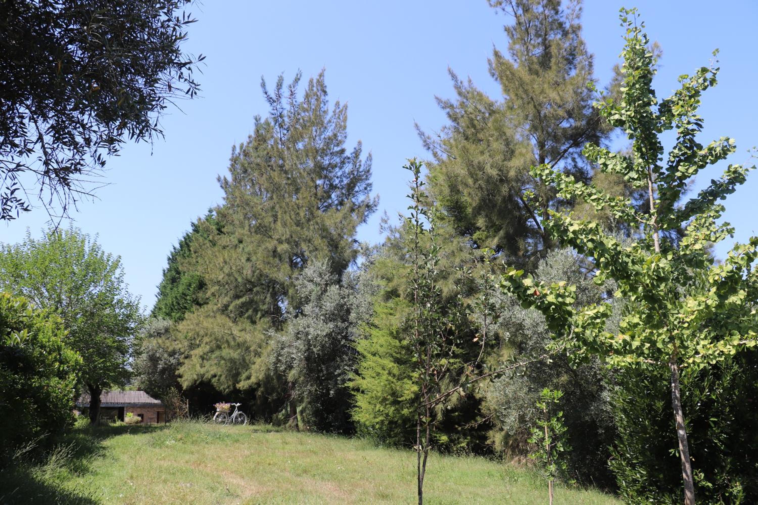 Acquavilla