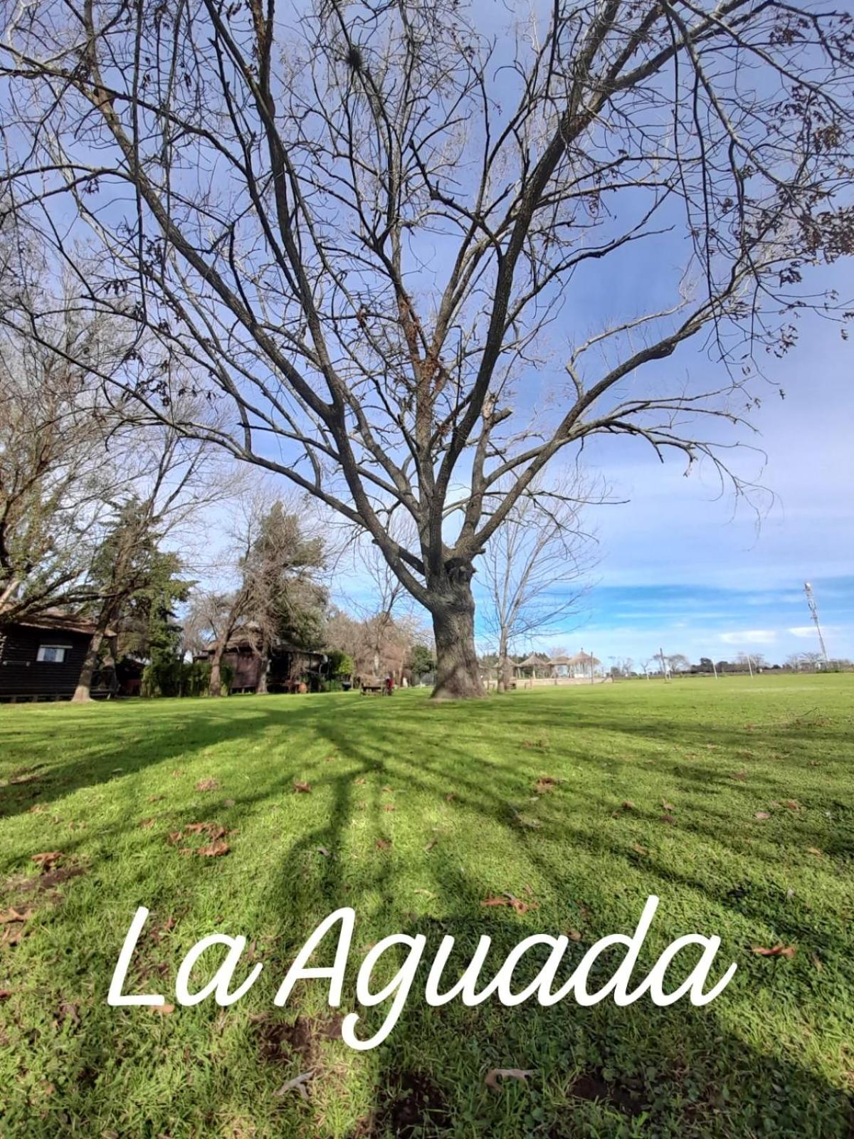 cabañas la aguada