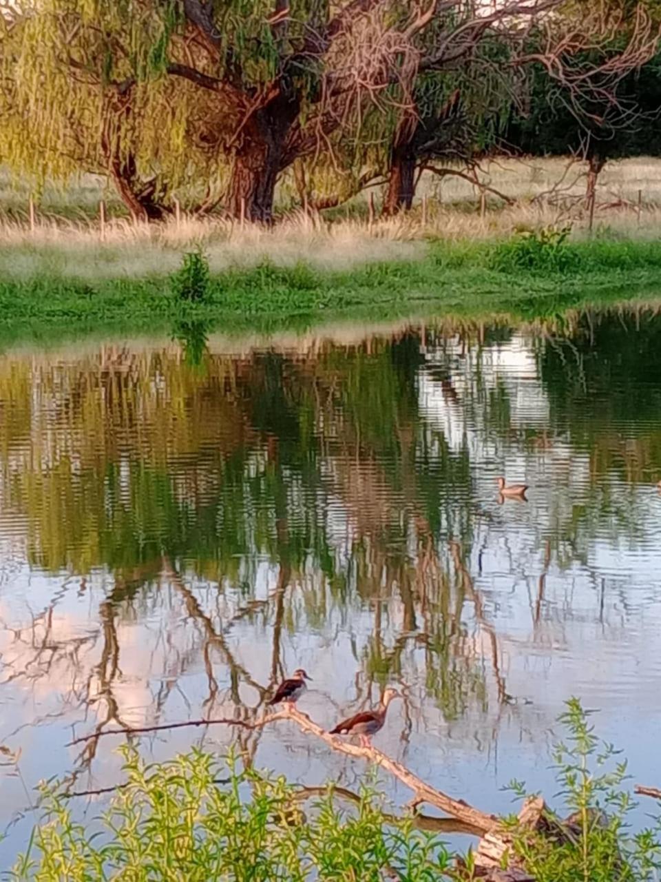 cabañas la aguada