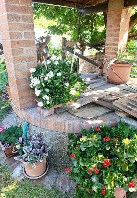 Photo 28