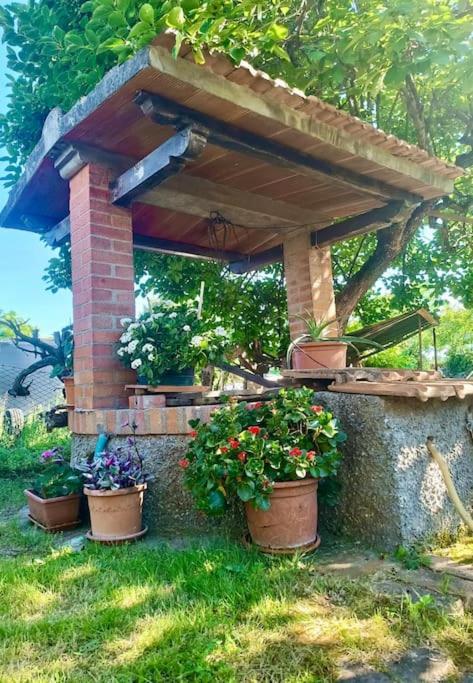 Chianti LOFT Garden free parking to San Gimignano view 5