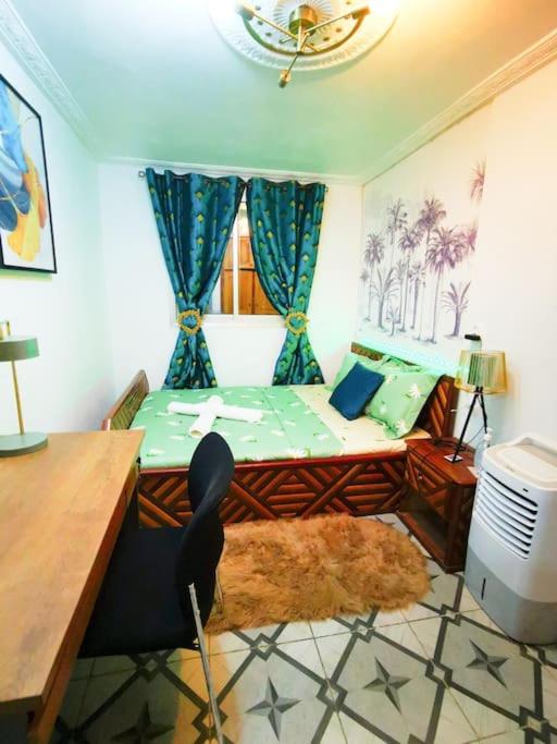 NINJA HOUSE Studio chic Le Turquois Doré
