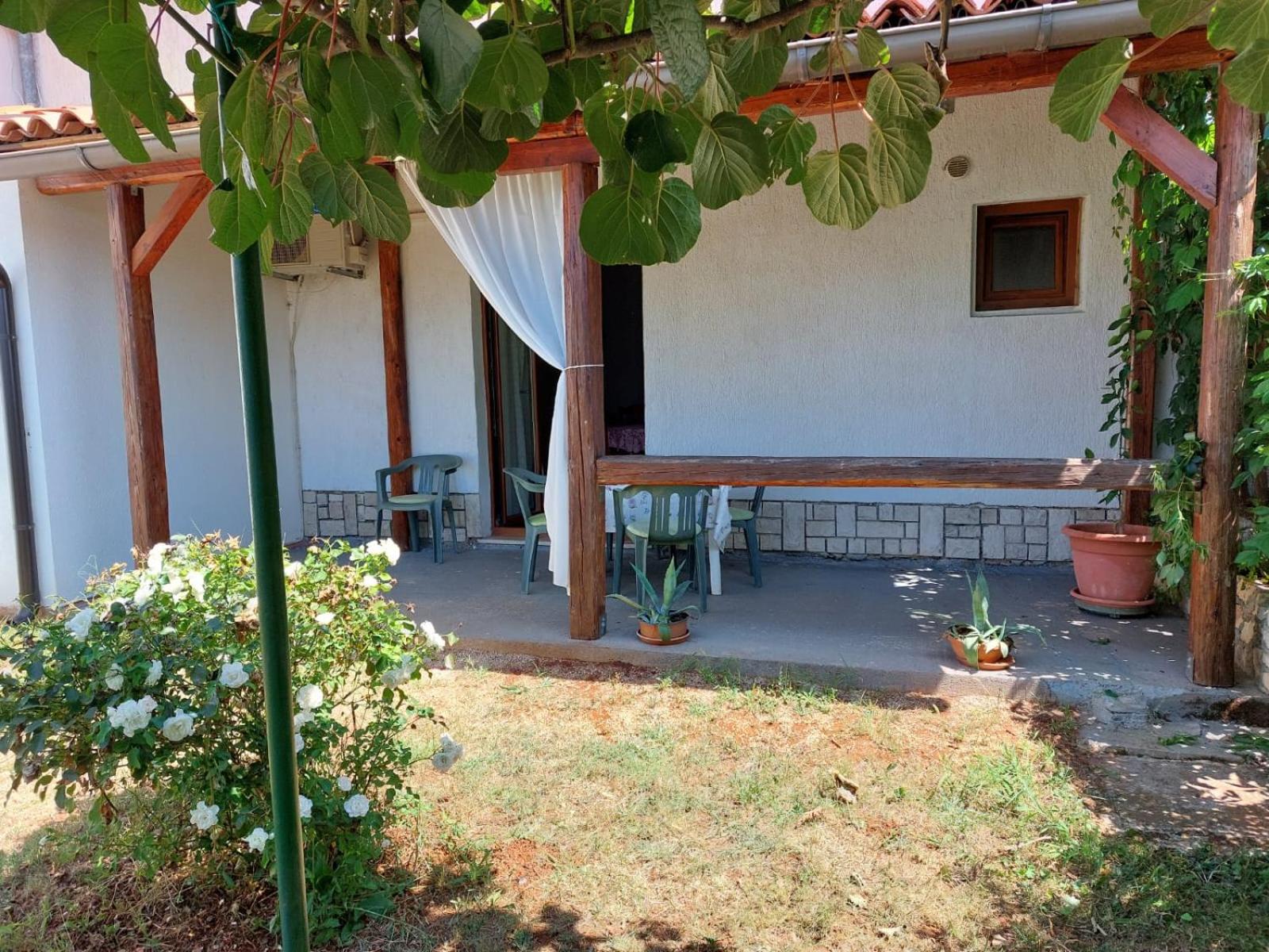 Photo 15