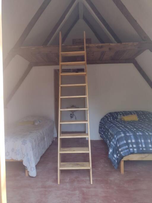 Cabaña Calandria