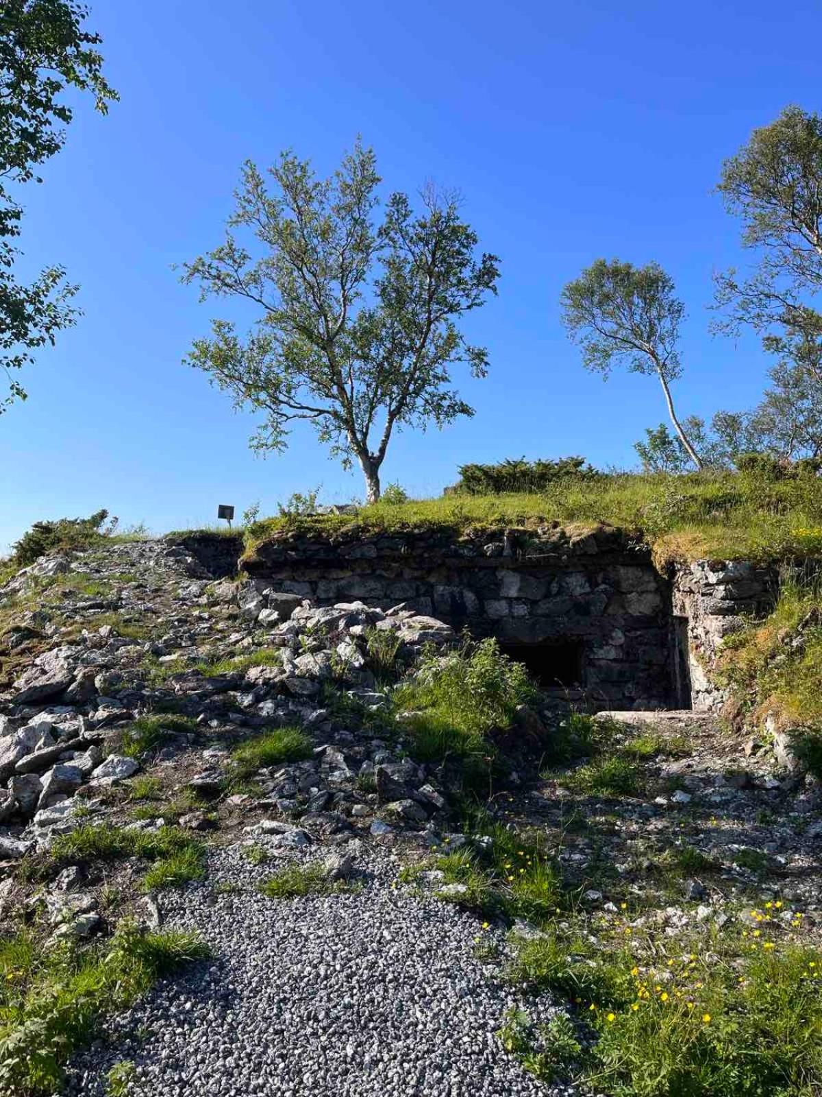 Gammel hus