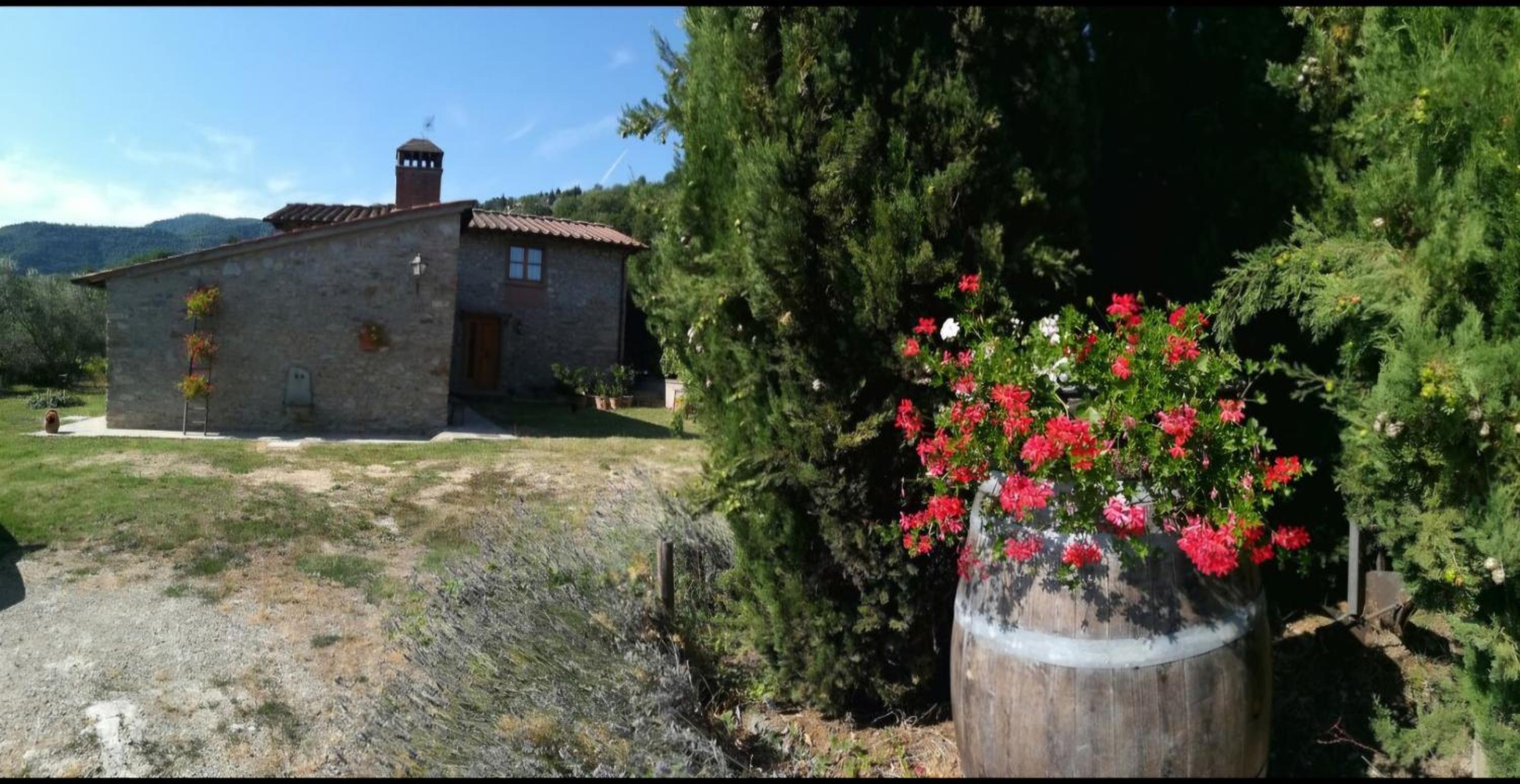Agriturismo I Cipressi view 4