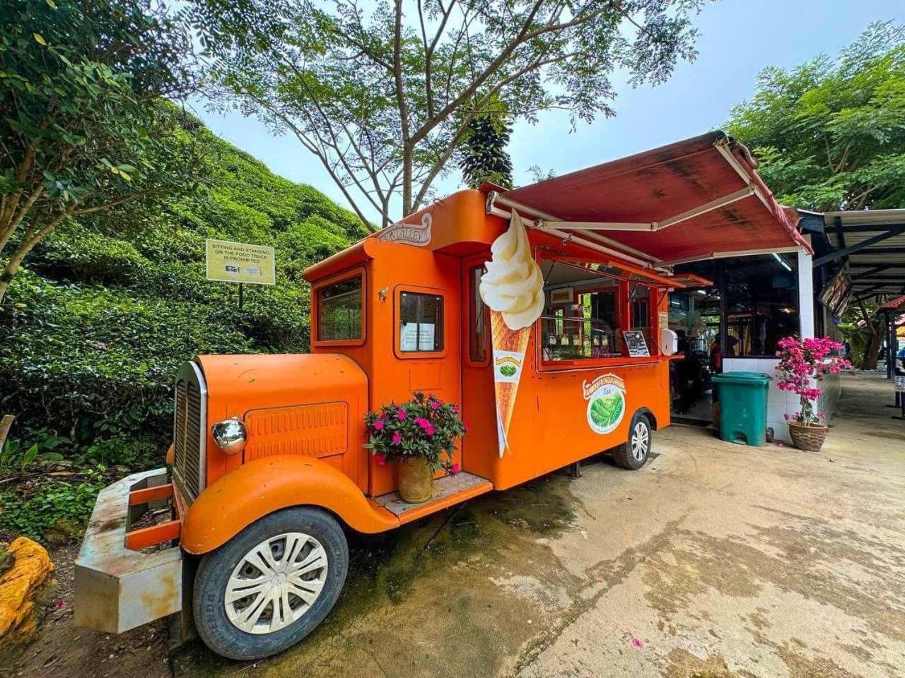 Strawberry Hill- Free Breakfast Opening Promo photo 1