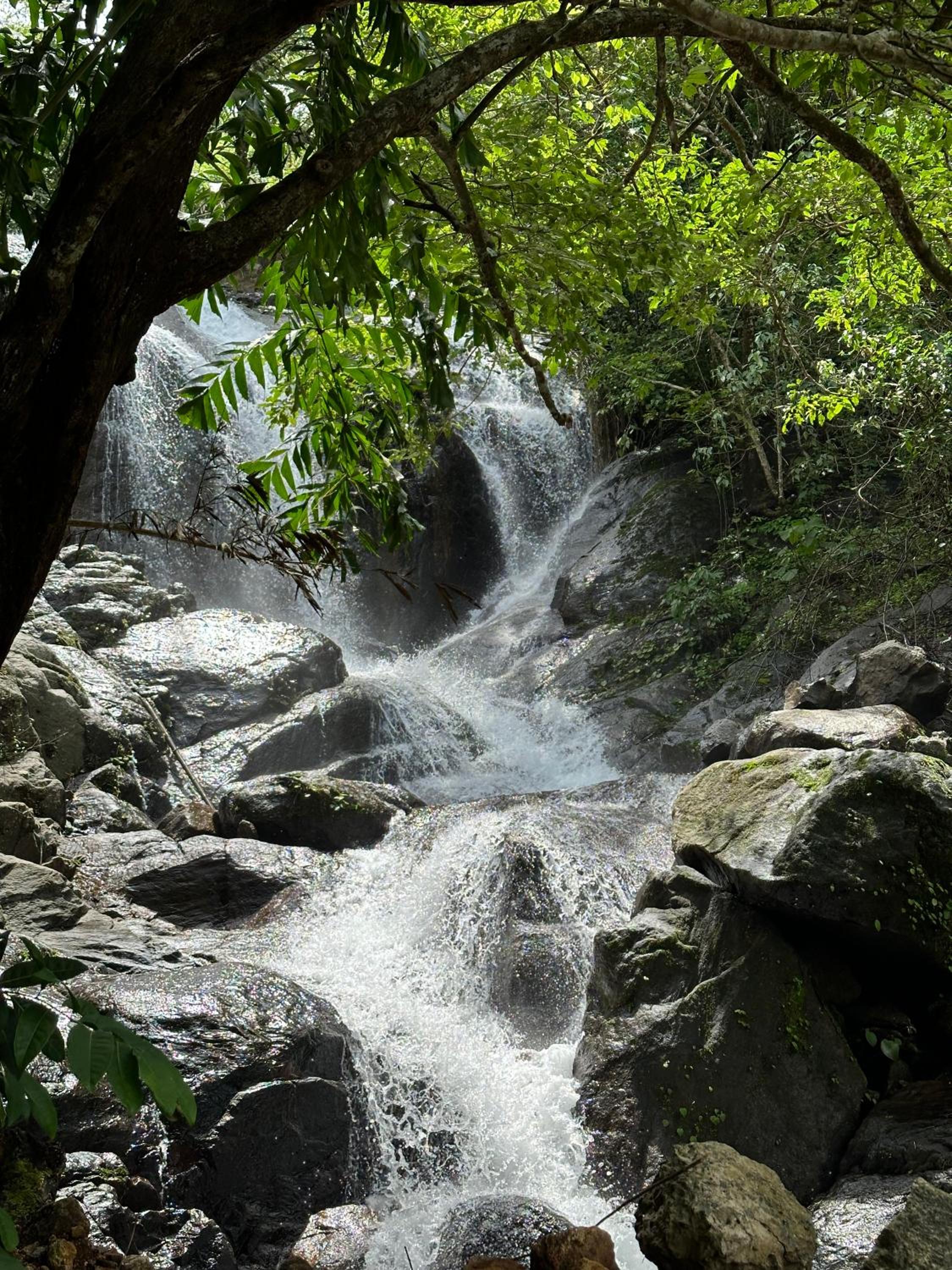 Sunset Valley Kerala Pool Resort - Monsoon Forest Cottage Stay in Idukki with Private Waterfalls, Natural Streams & Breathtaking Views view 2