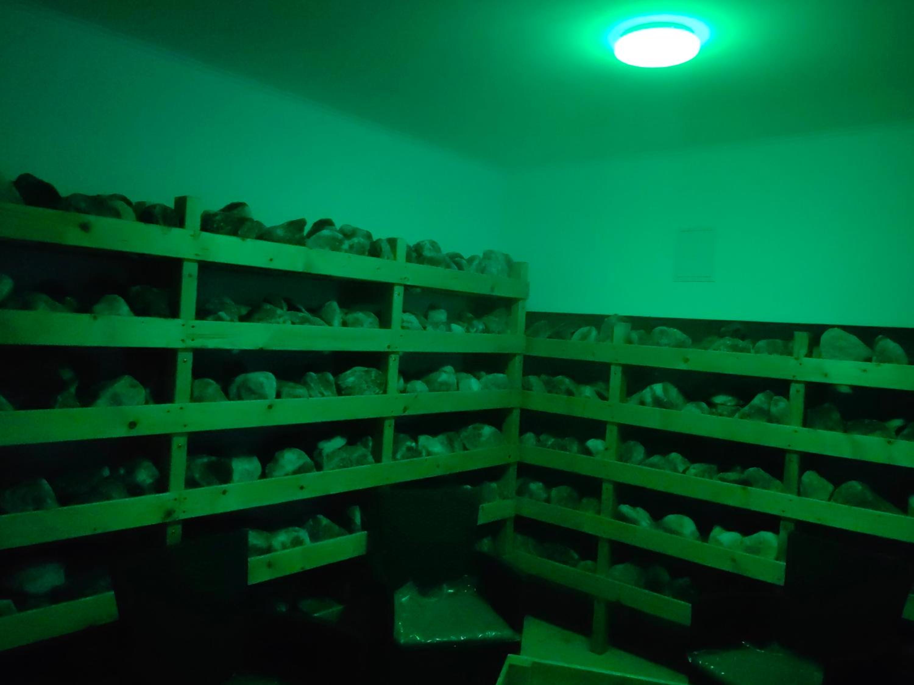 Pensiunea Pastravaria Vistisoara