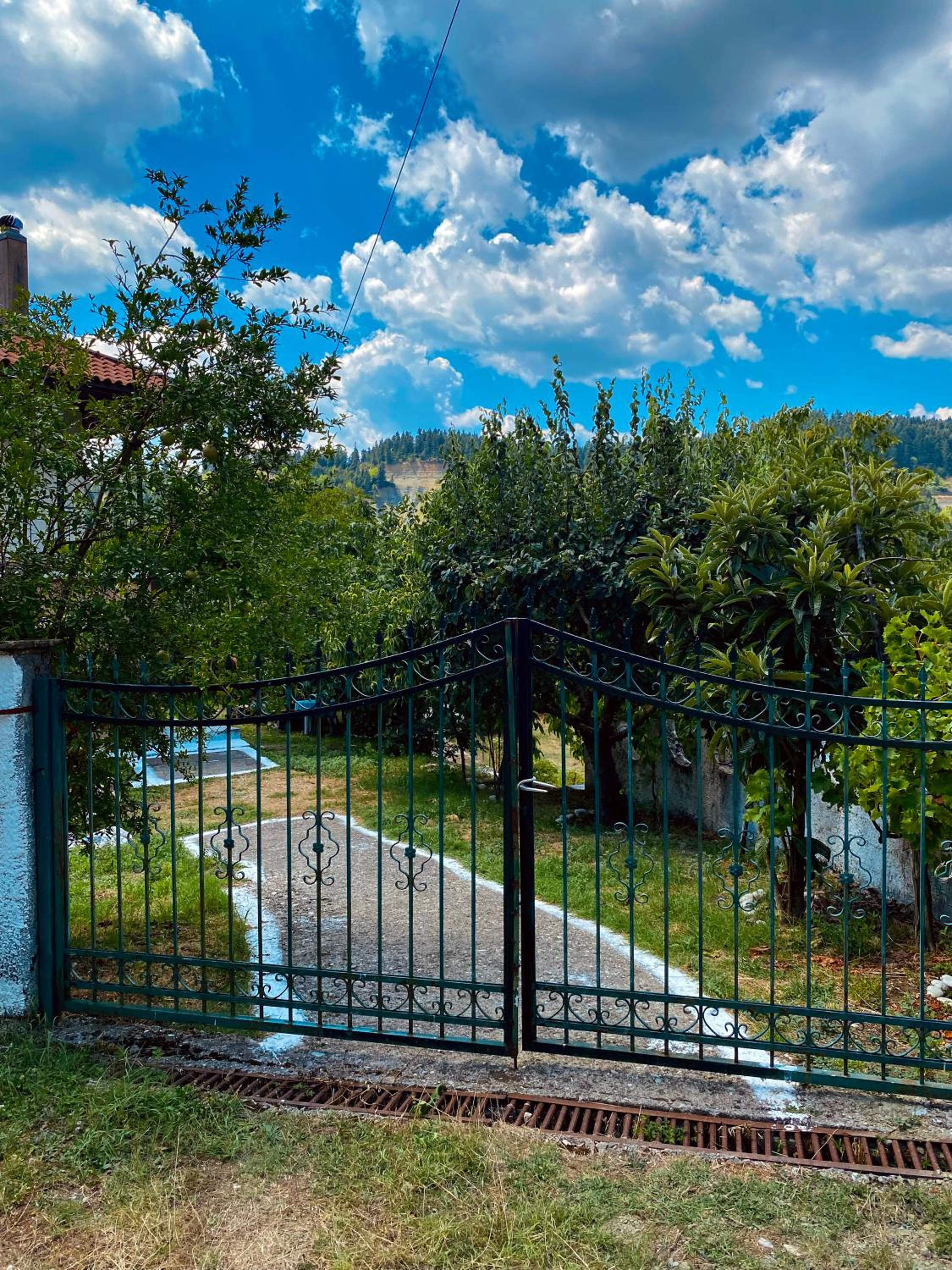 Σπίτι στα Έλατα view 2