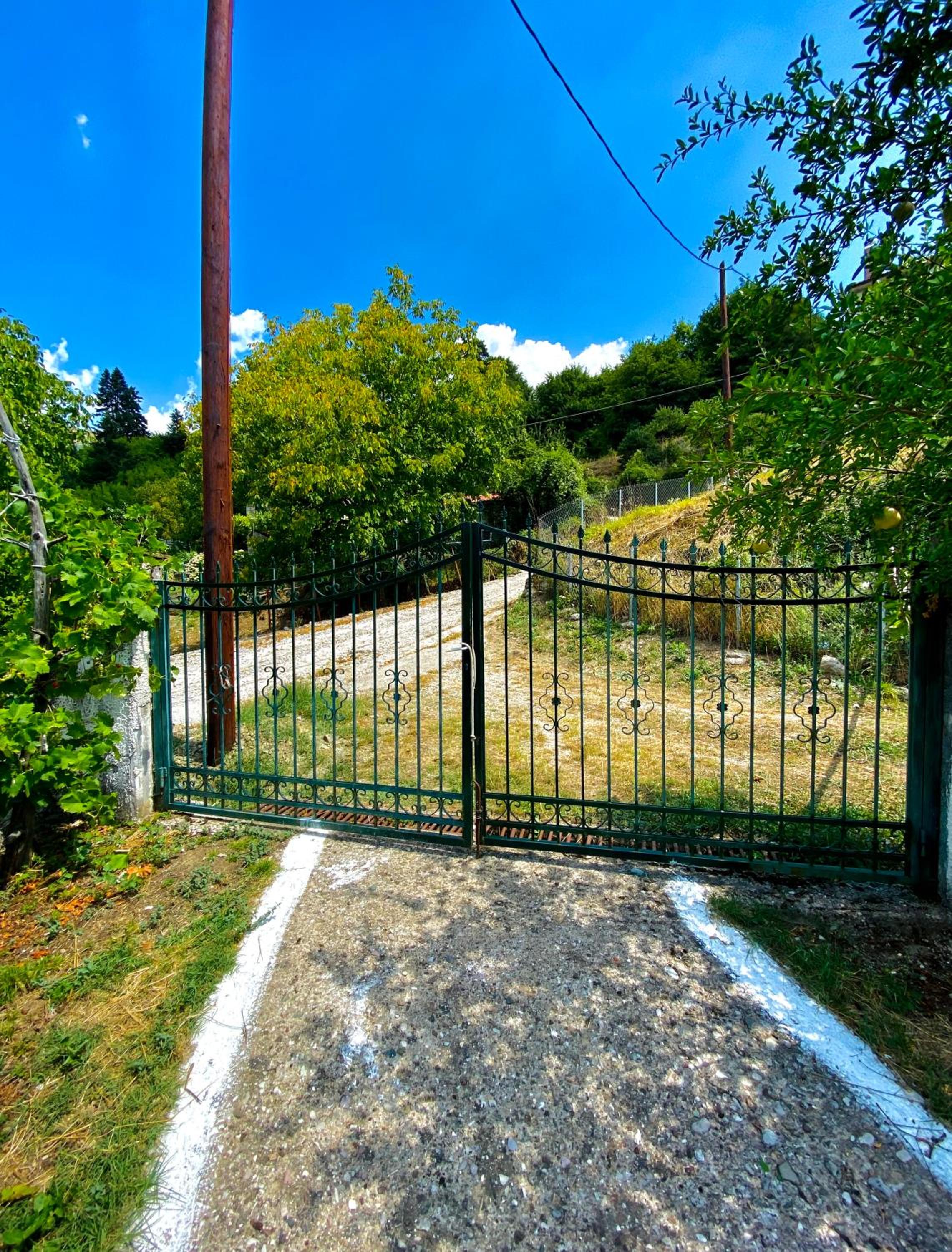 Σπίτι στα Έλατα view 4
