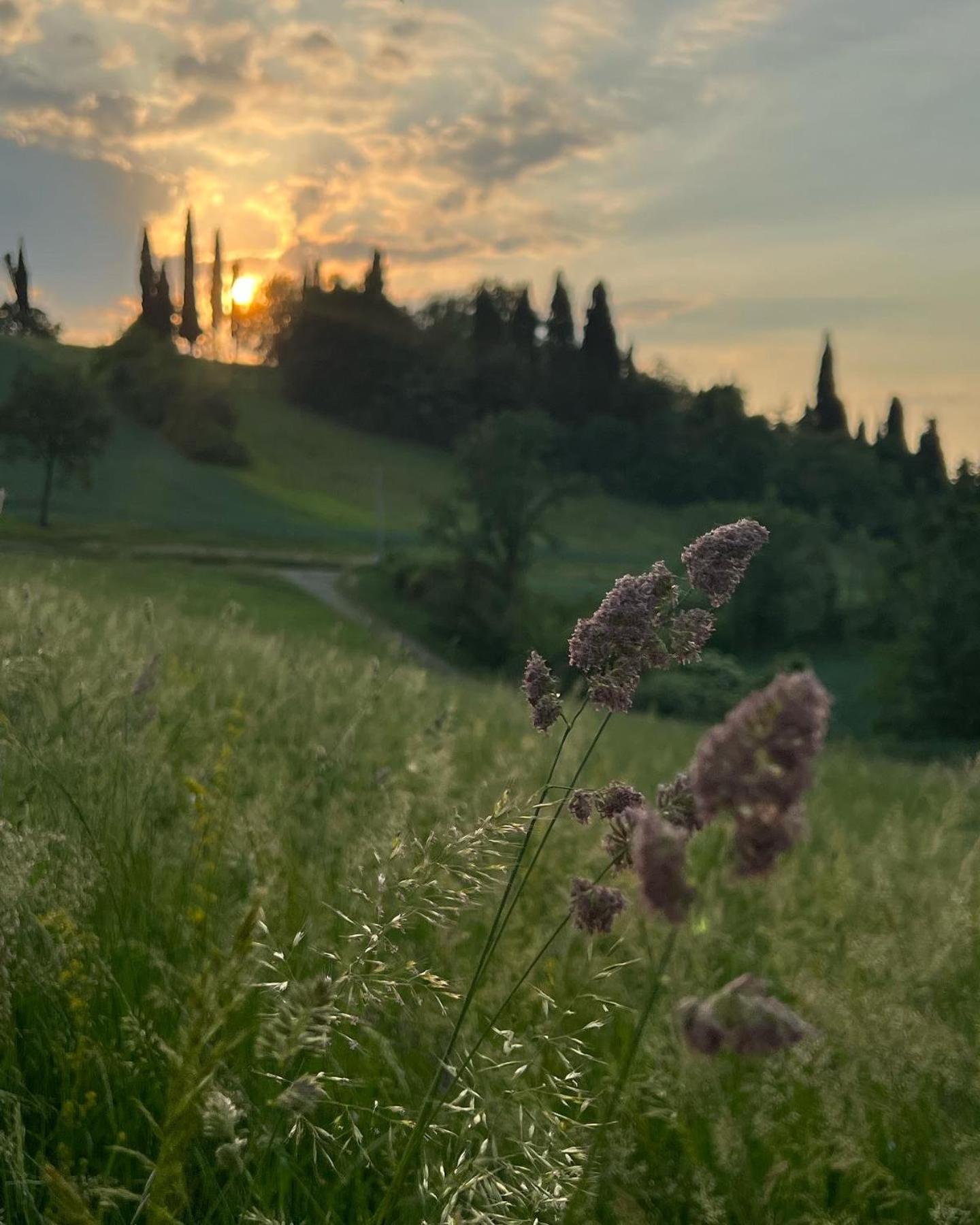 Villa Nuvola Suites