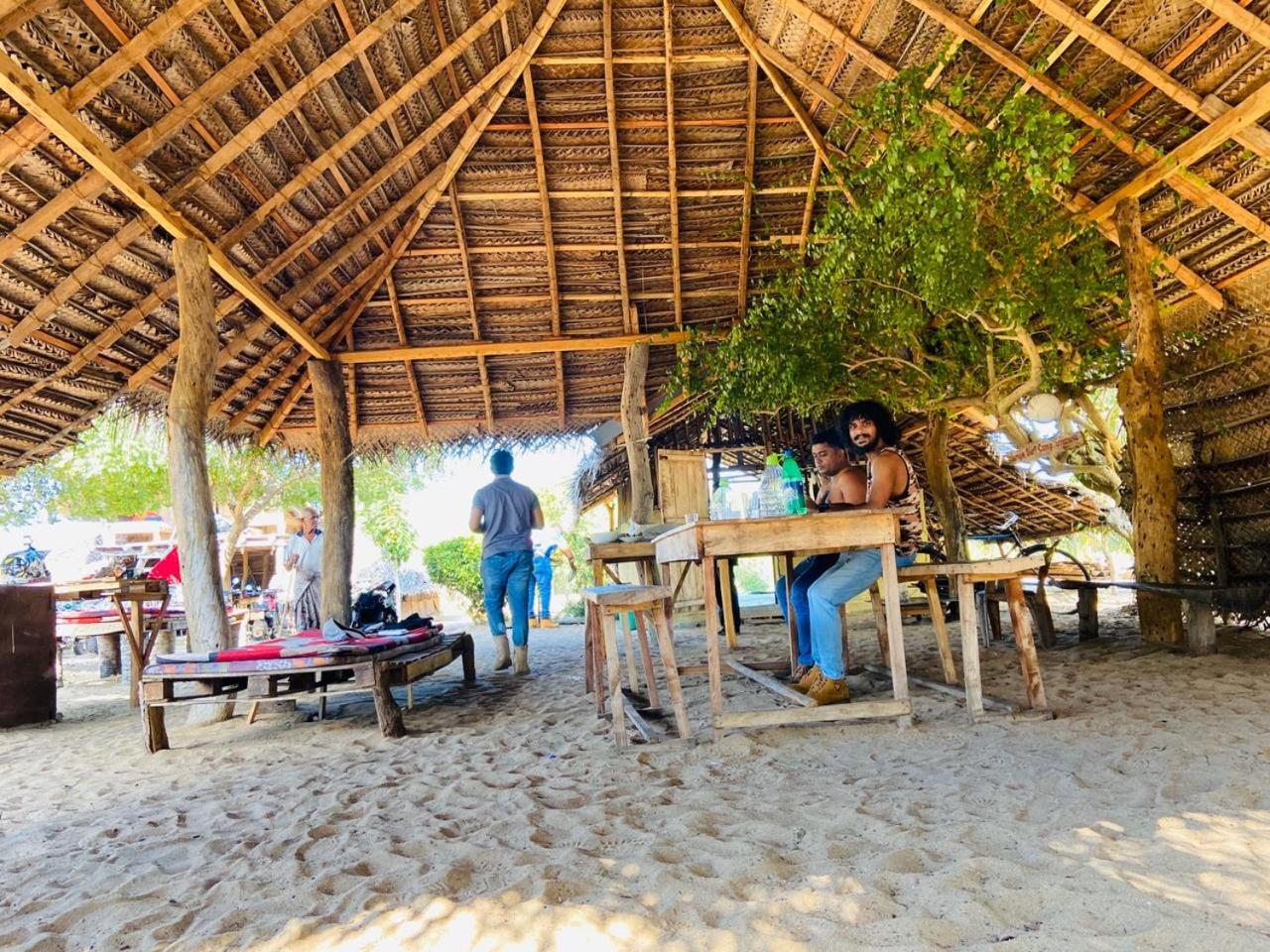 Jungle Surf Camp view 2