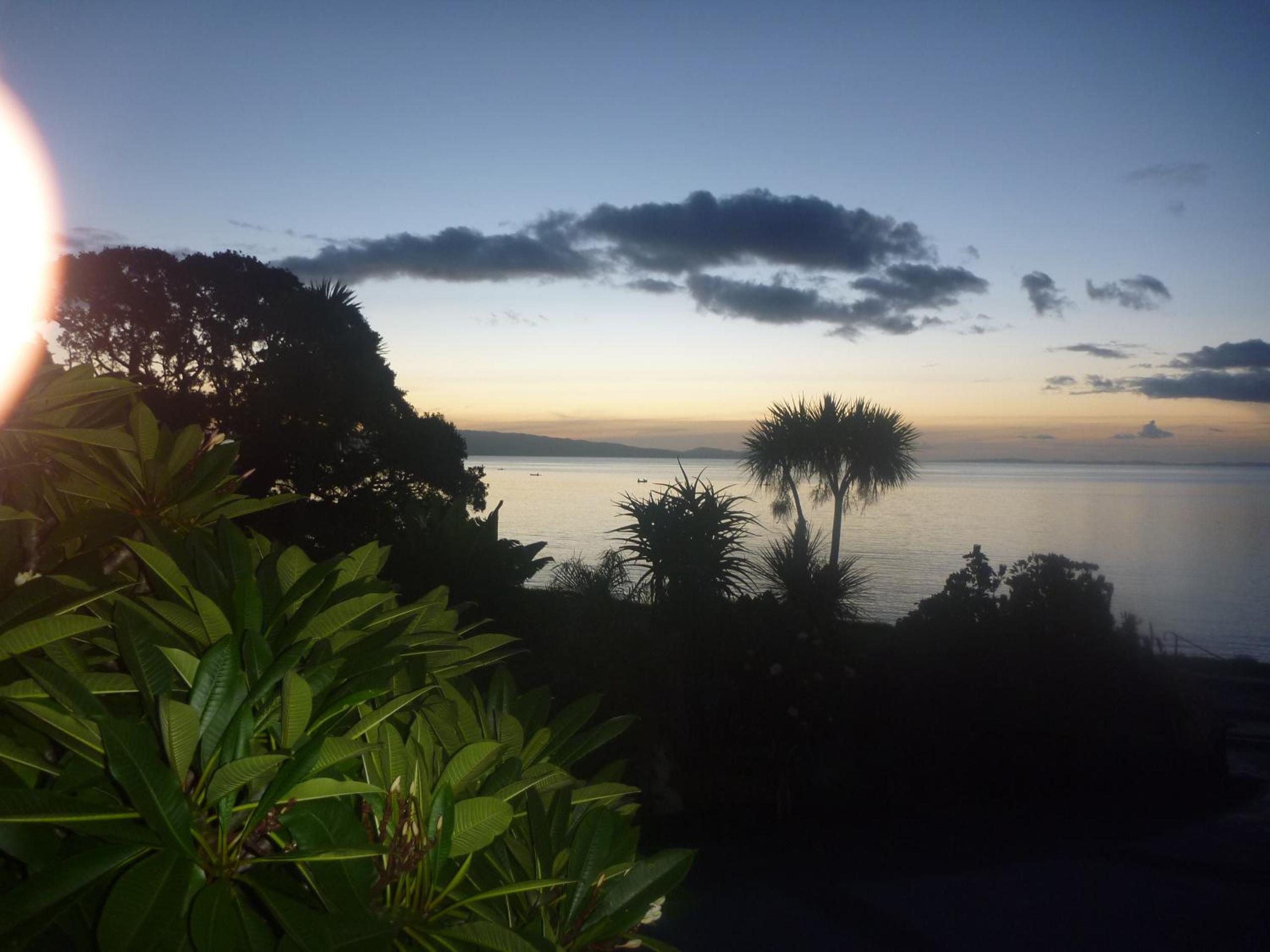 Pohutukawa Coast BnB