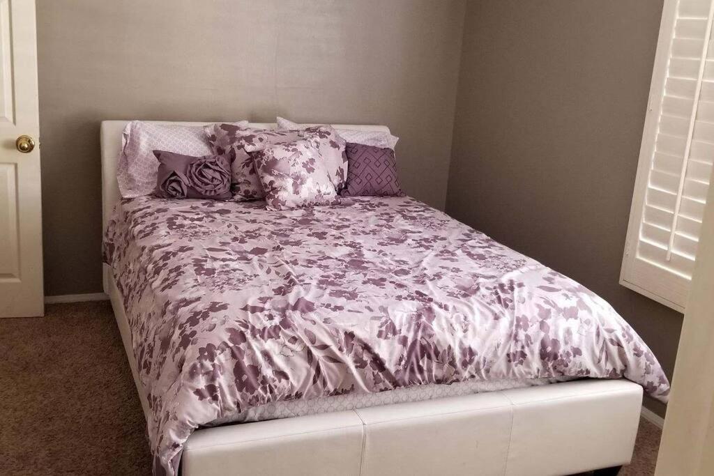 Your perfect Phoenix Find with heated pool view 4