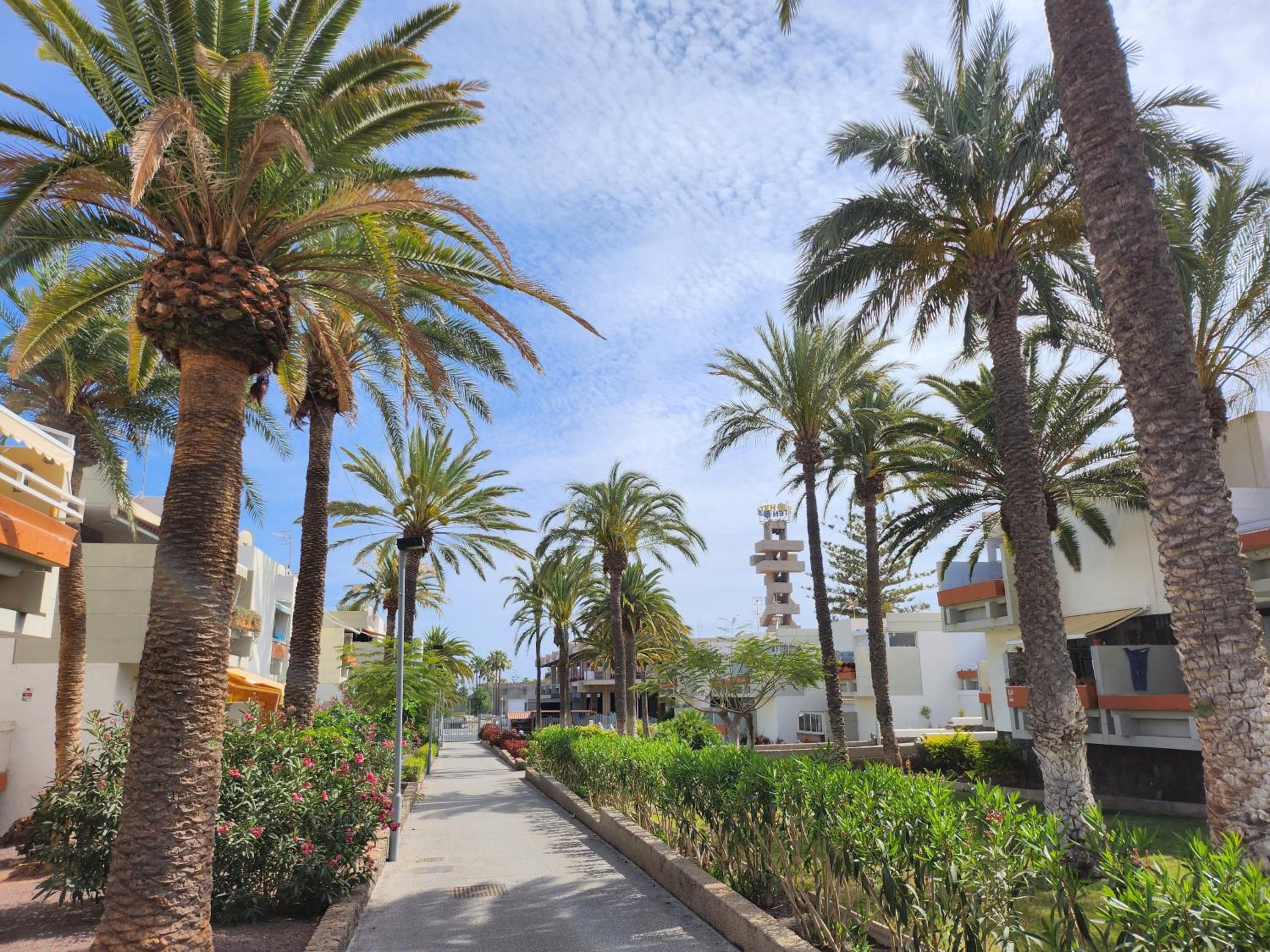 Tenerife Sunshine south apartment Beach by La Ballena