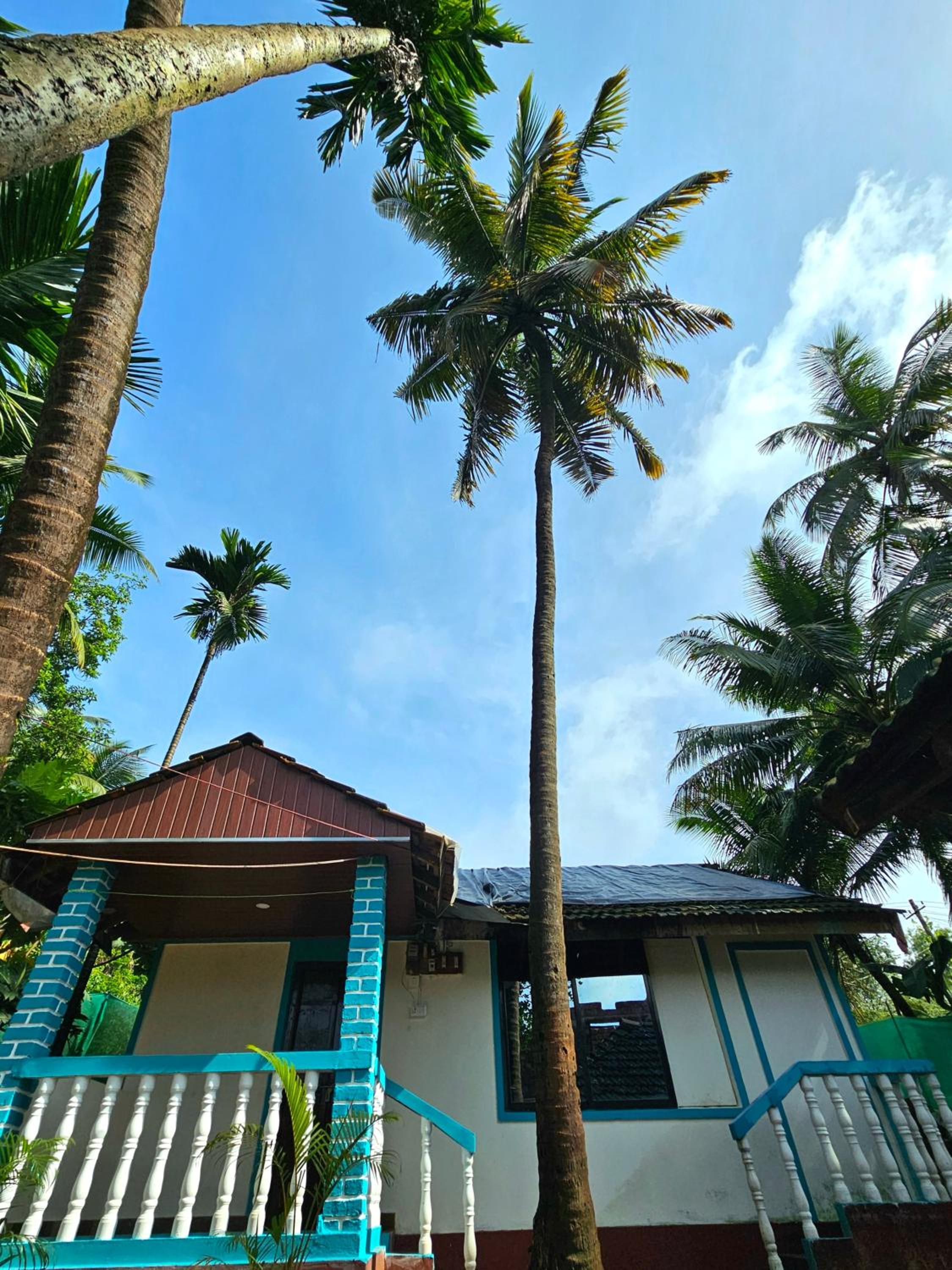 The Beachwalk Stay - Your Pathway to the Beach view 3