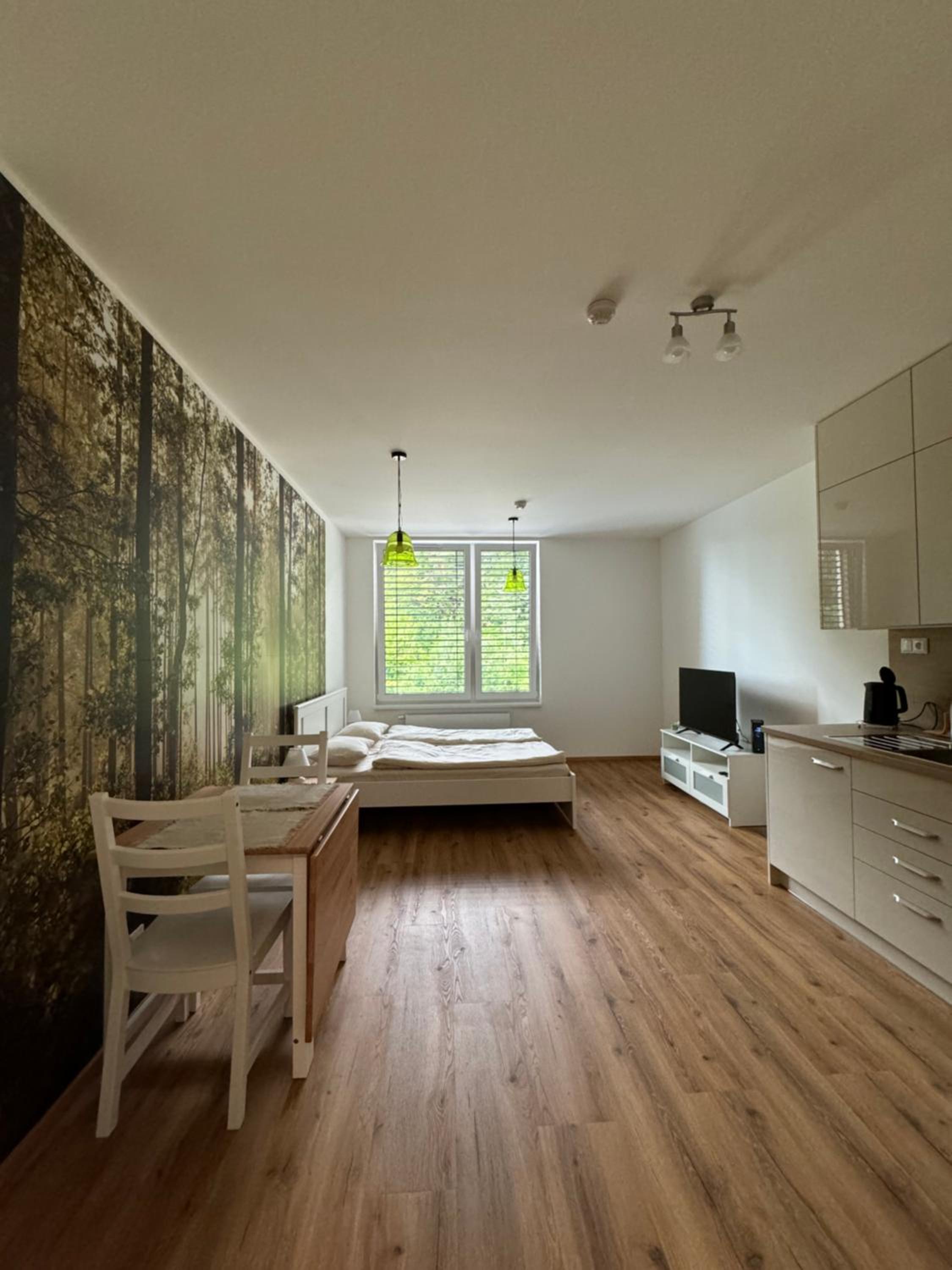 Krumlovský Vltavín