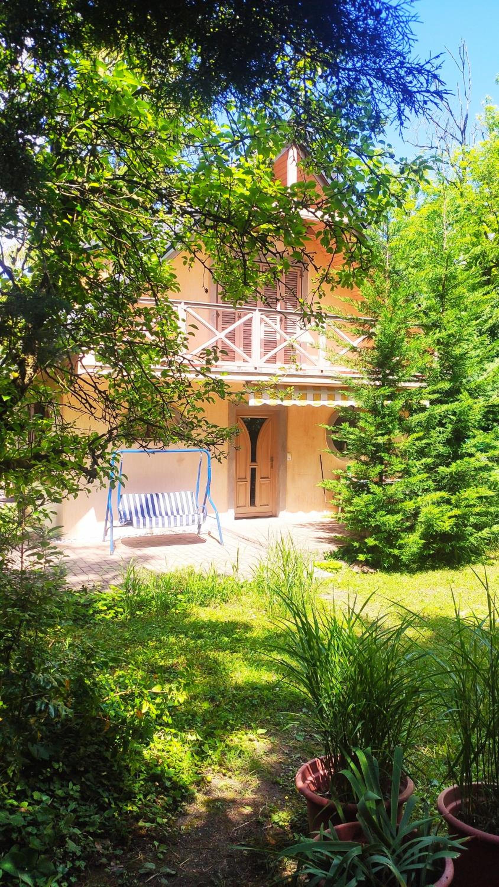 Kis ház az erdő mellett - Little house next to the forest view 2