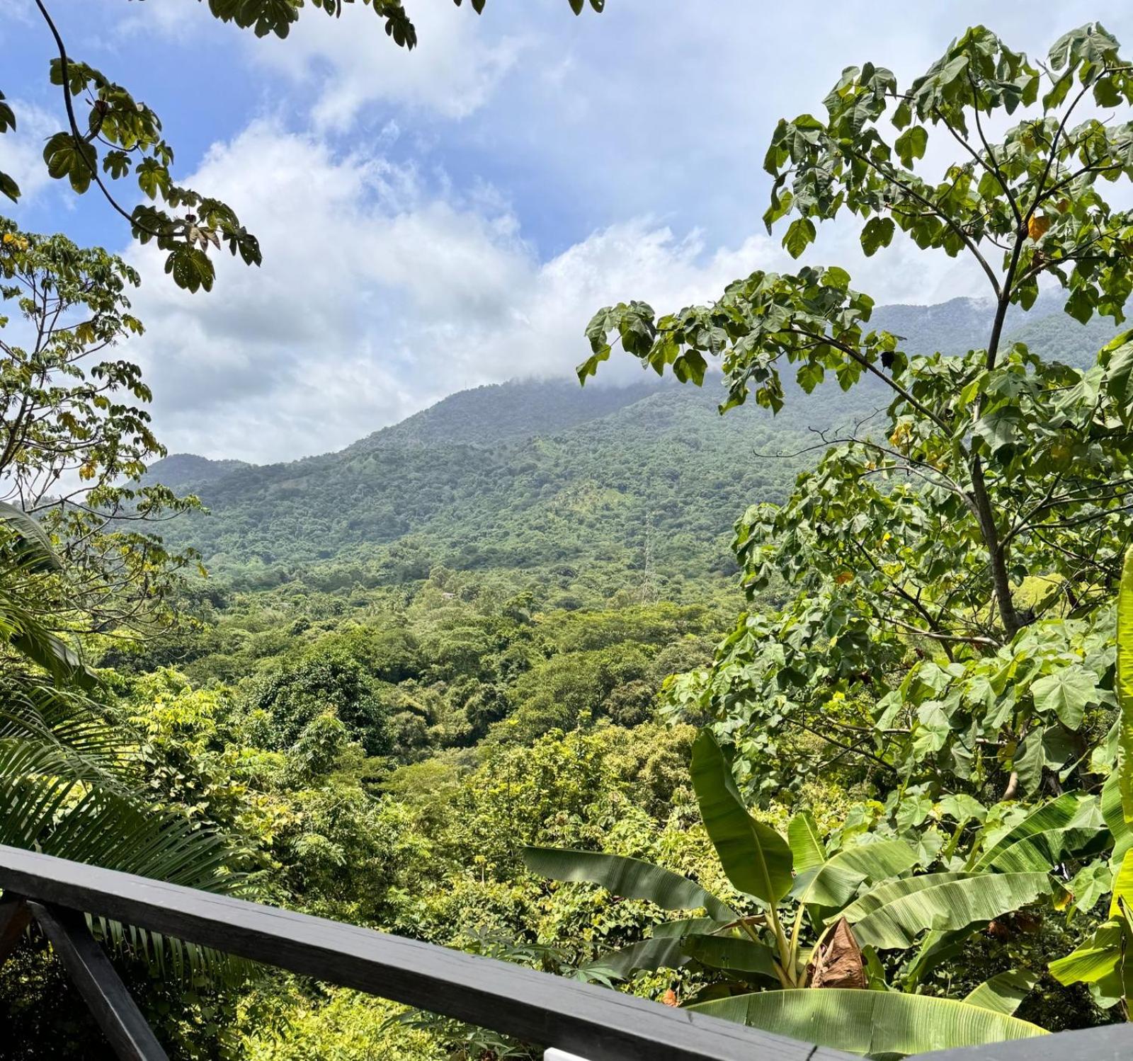 Lodge Cacao