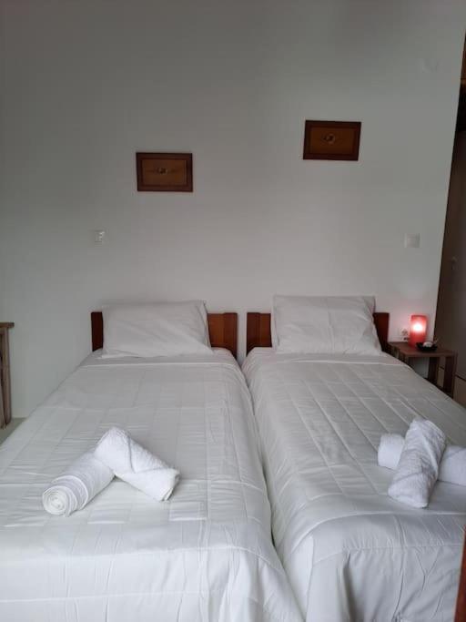 Aphrodite apartment photo 5