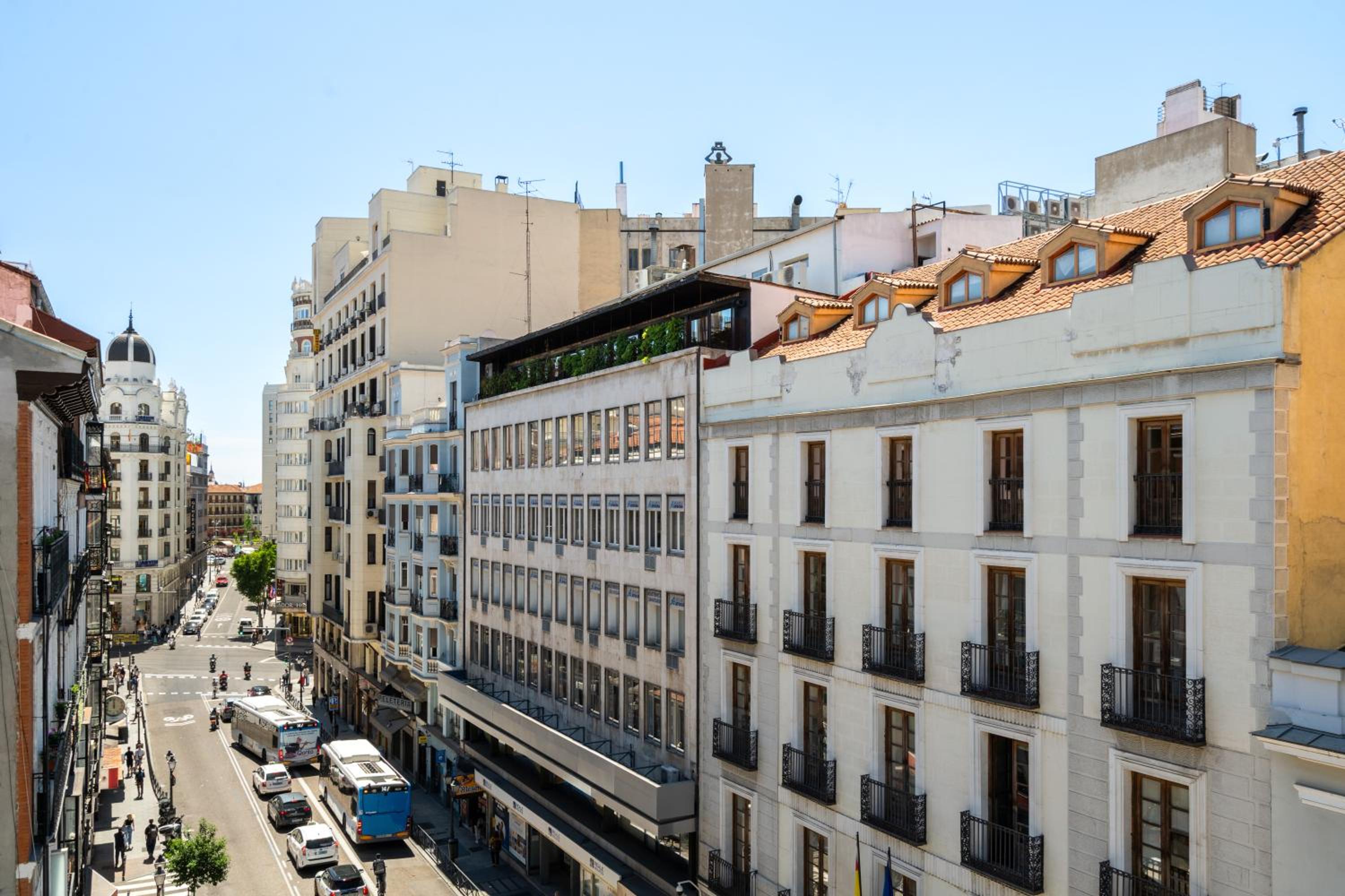 Dobo Madrid SB20