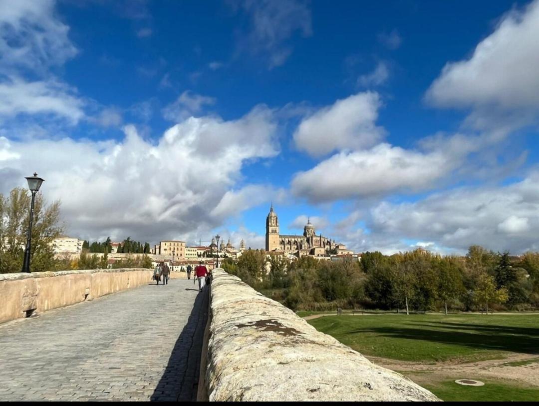 Mini estudio Centro Reyes de España