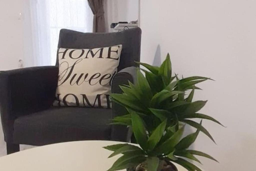 BRAND NEW Entire Place in CENTER of ZEMUN view 3