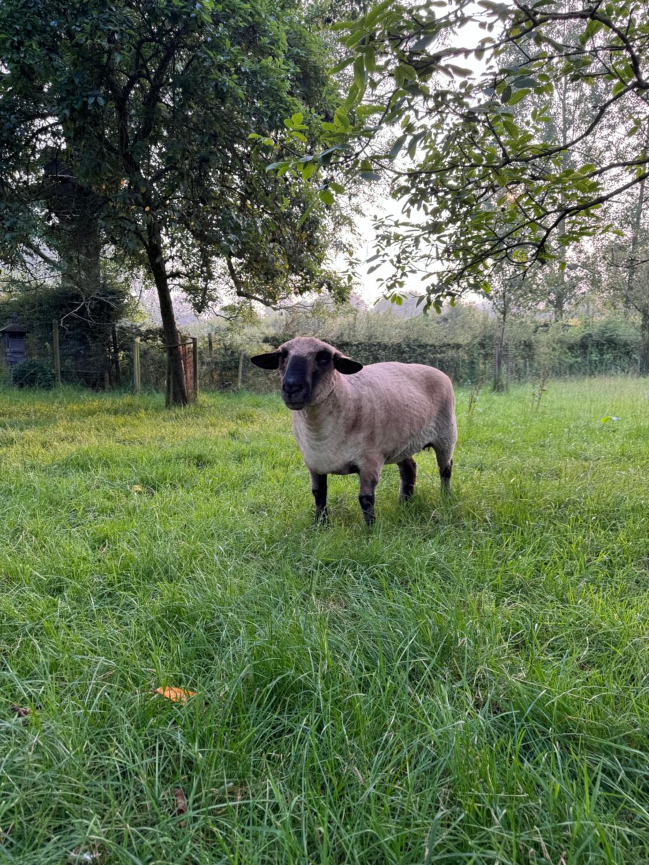 De boerderij van Toon en Jeroen