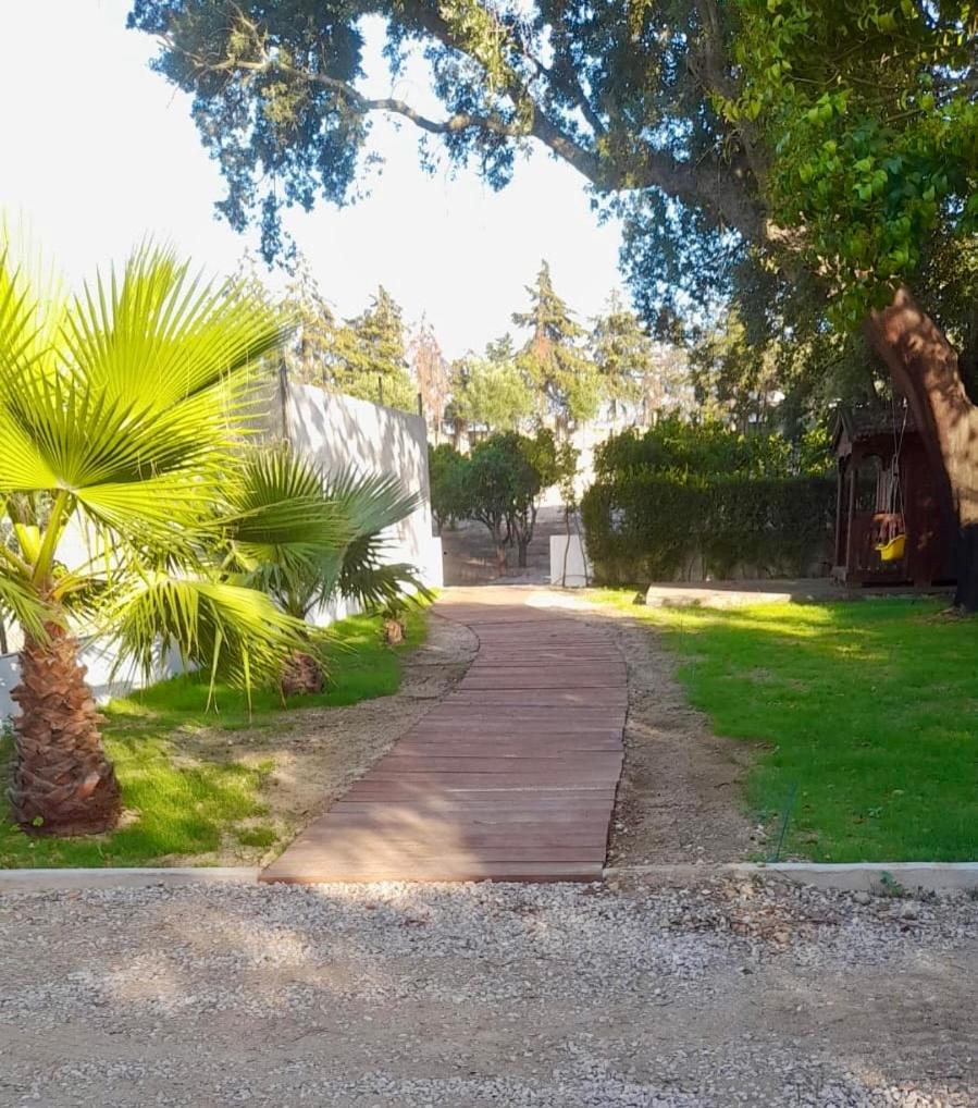 Photo 33