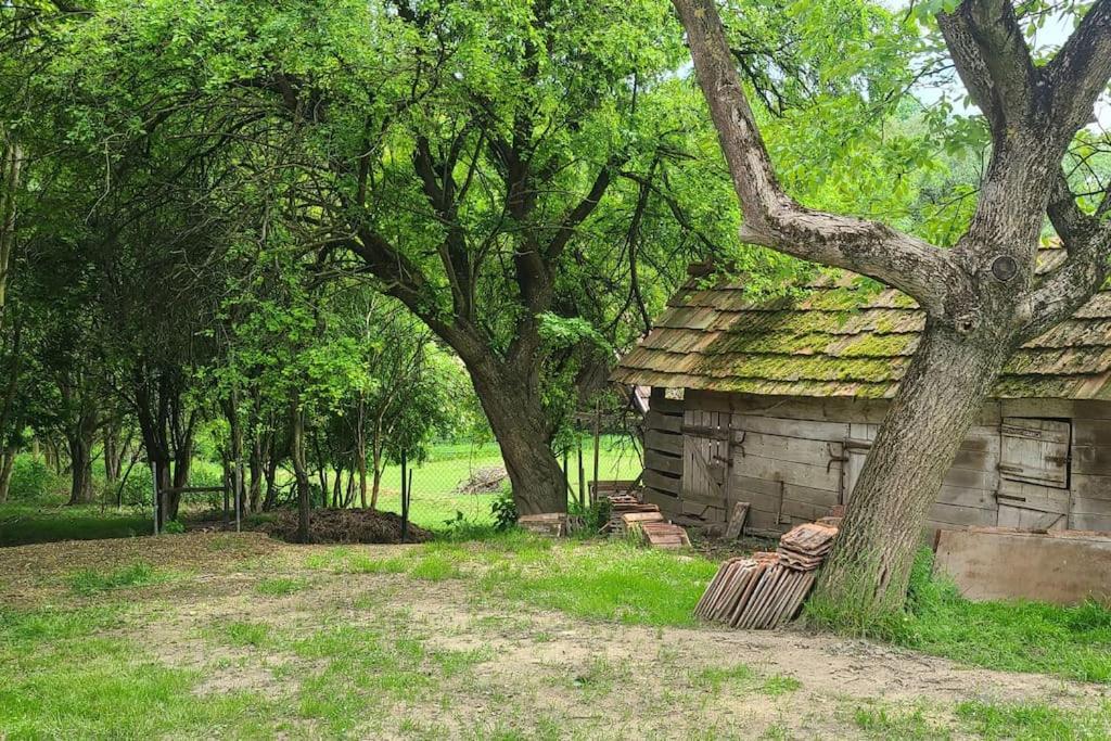 Ötbárány Vendégház