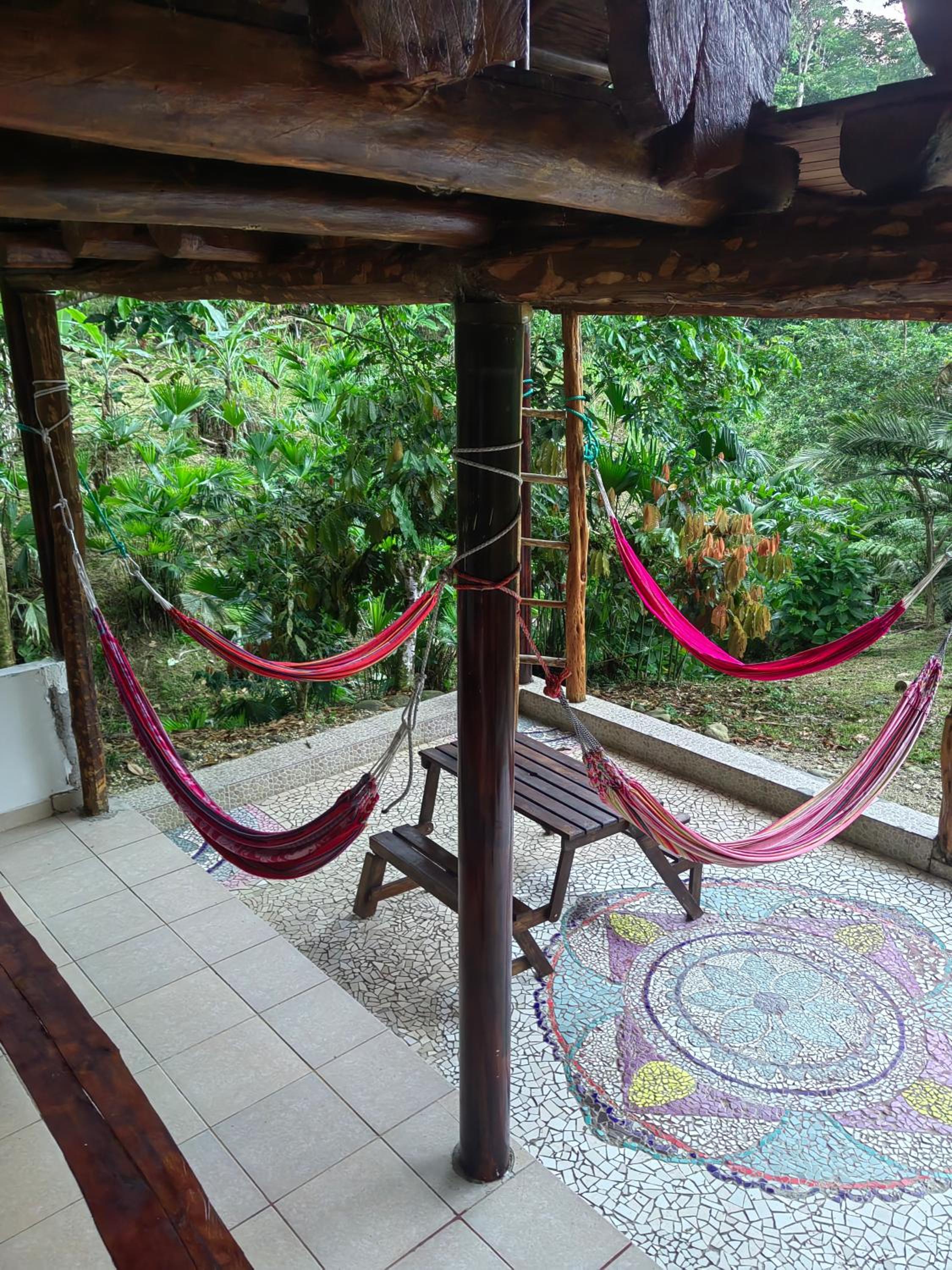 Wisdom Forest Lodge