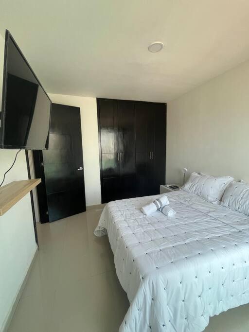 Electrificadora 1 bed, park view