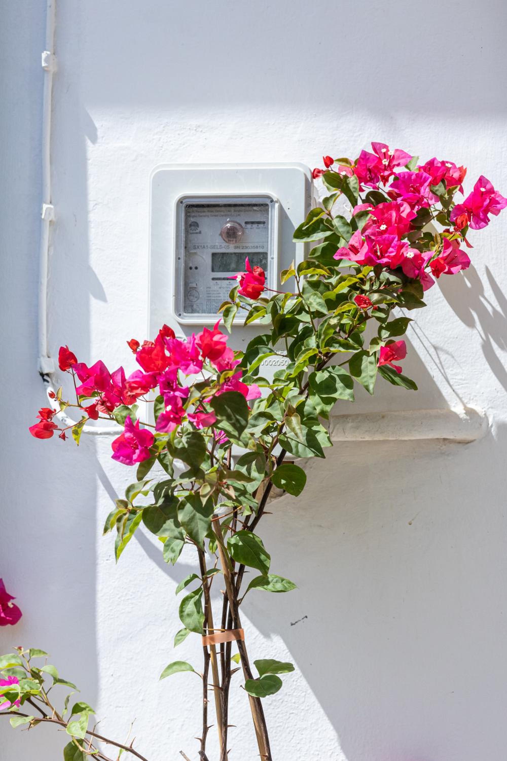 Argiro's House - Chania Old Town view 2