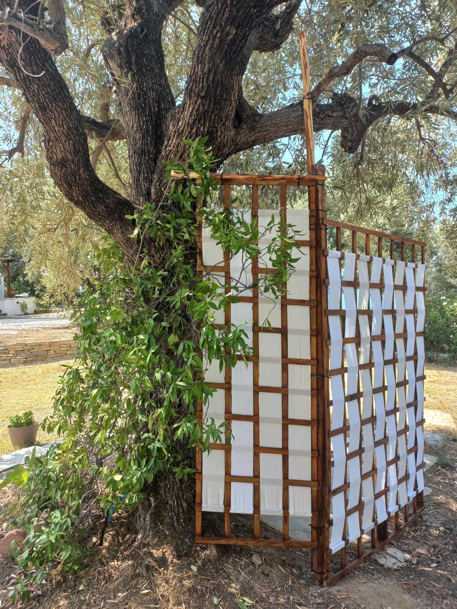 Sarakina Cottage Pelion - Property Image 2