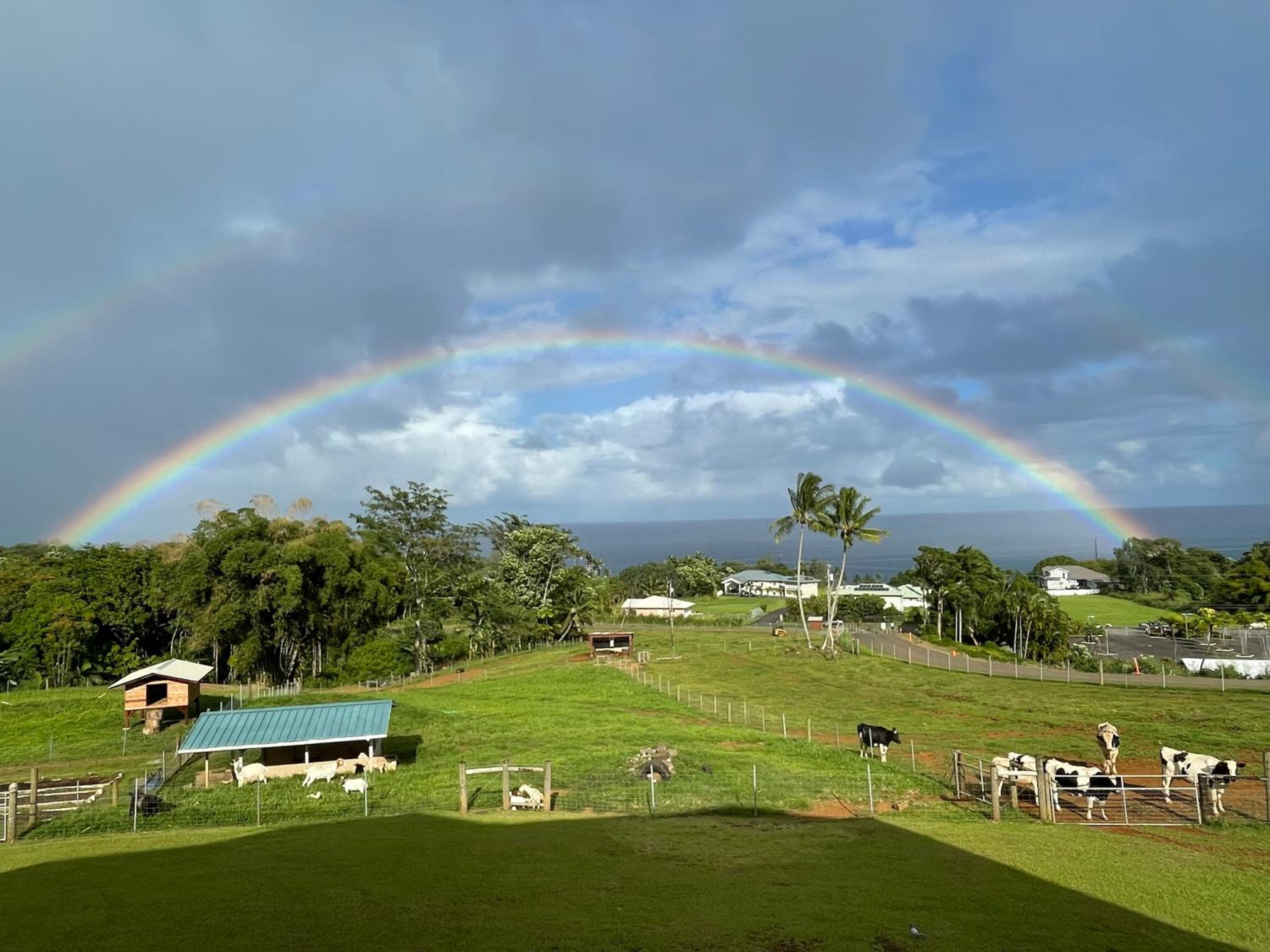 other