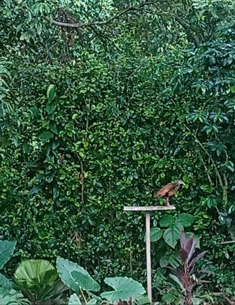 Doral House Villavicencio