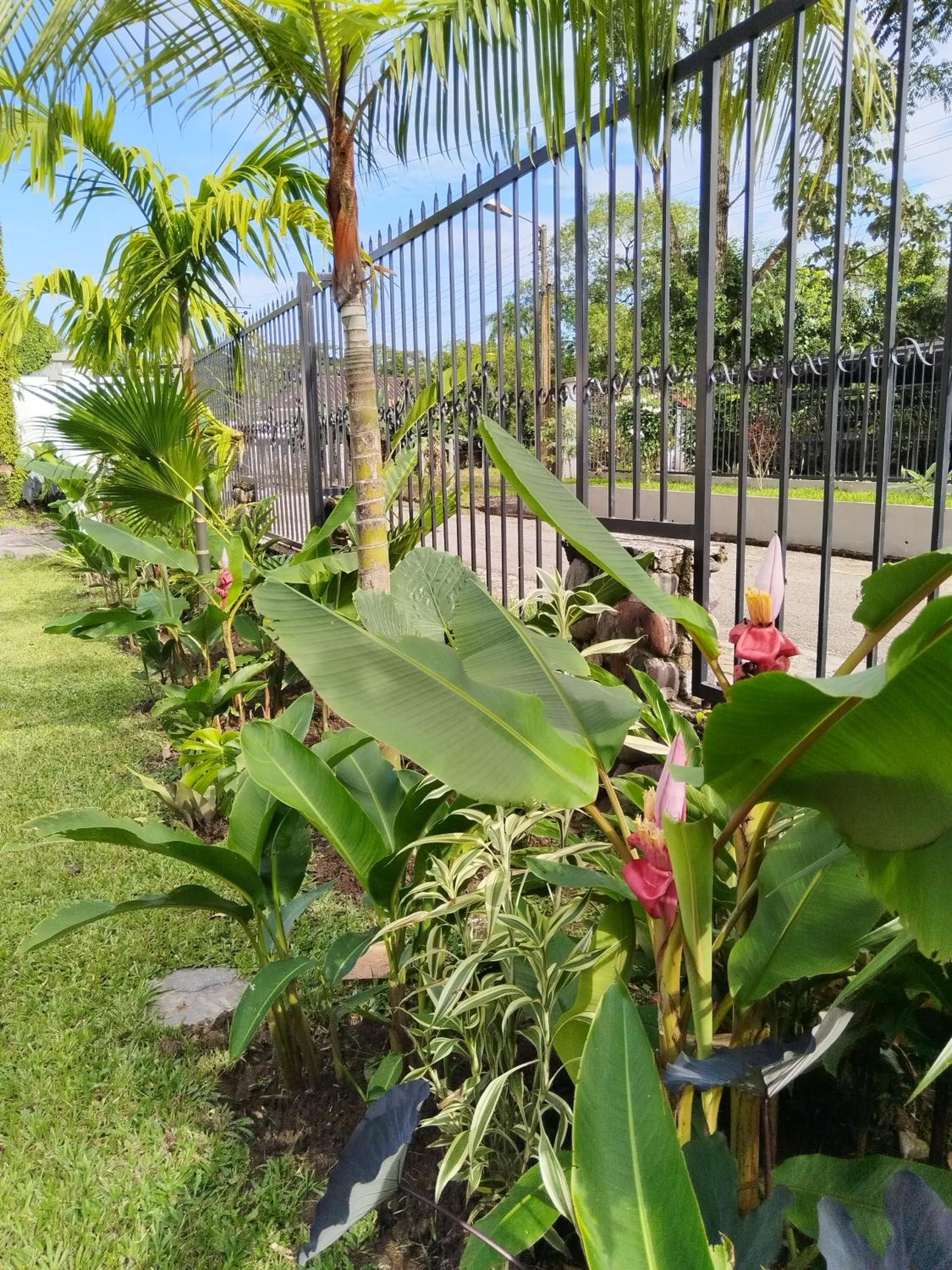 Doral House Villavicencio