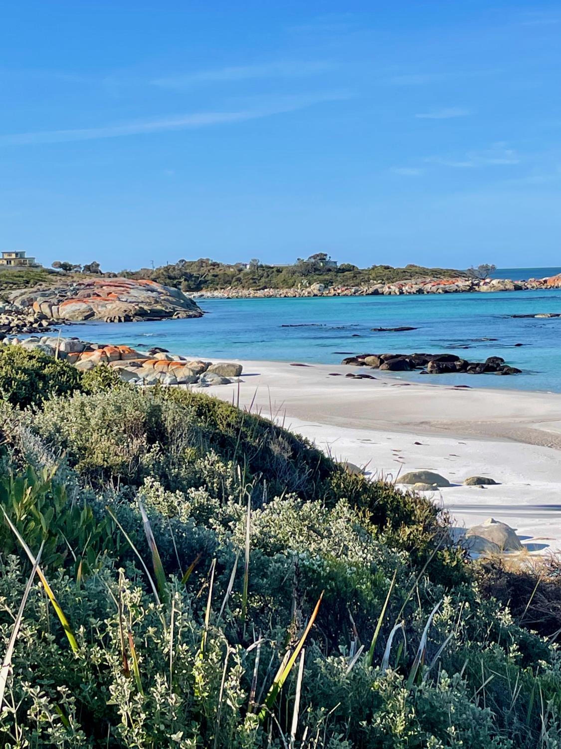 Driftwood Bay of Fires