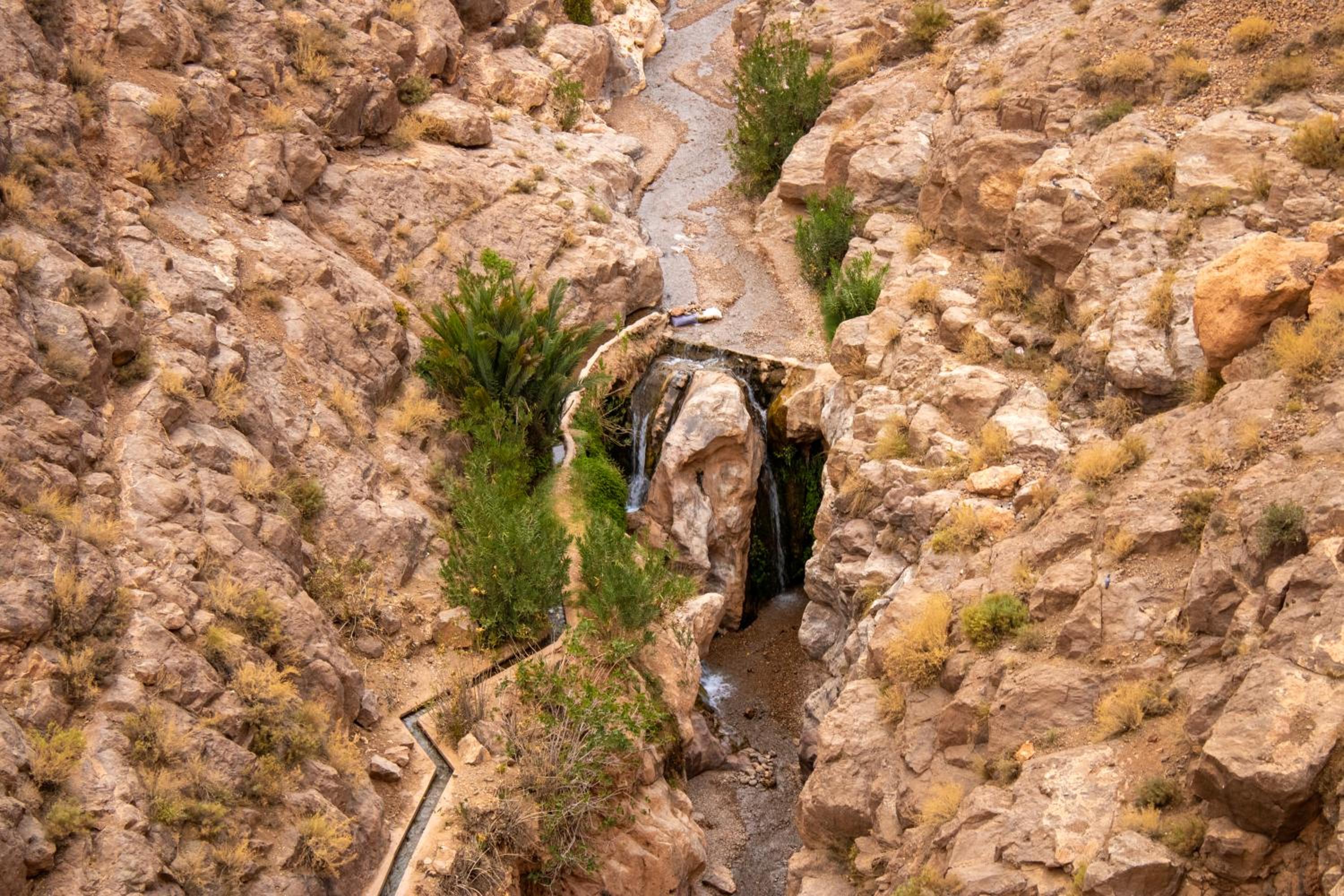 Photo 48