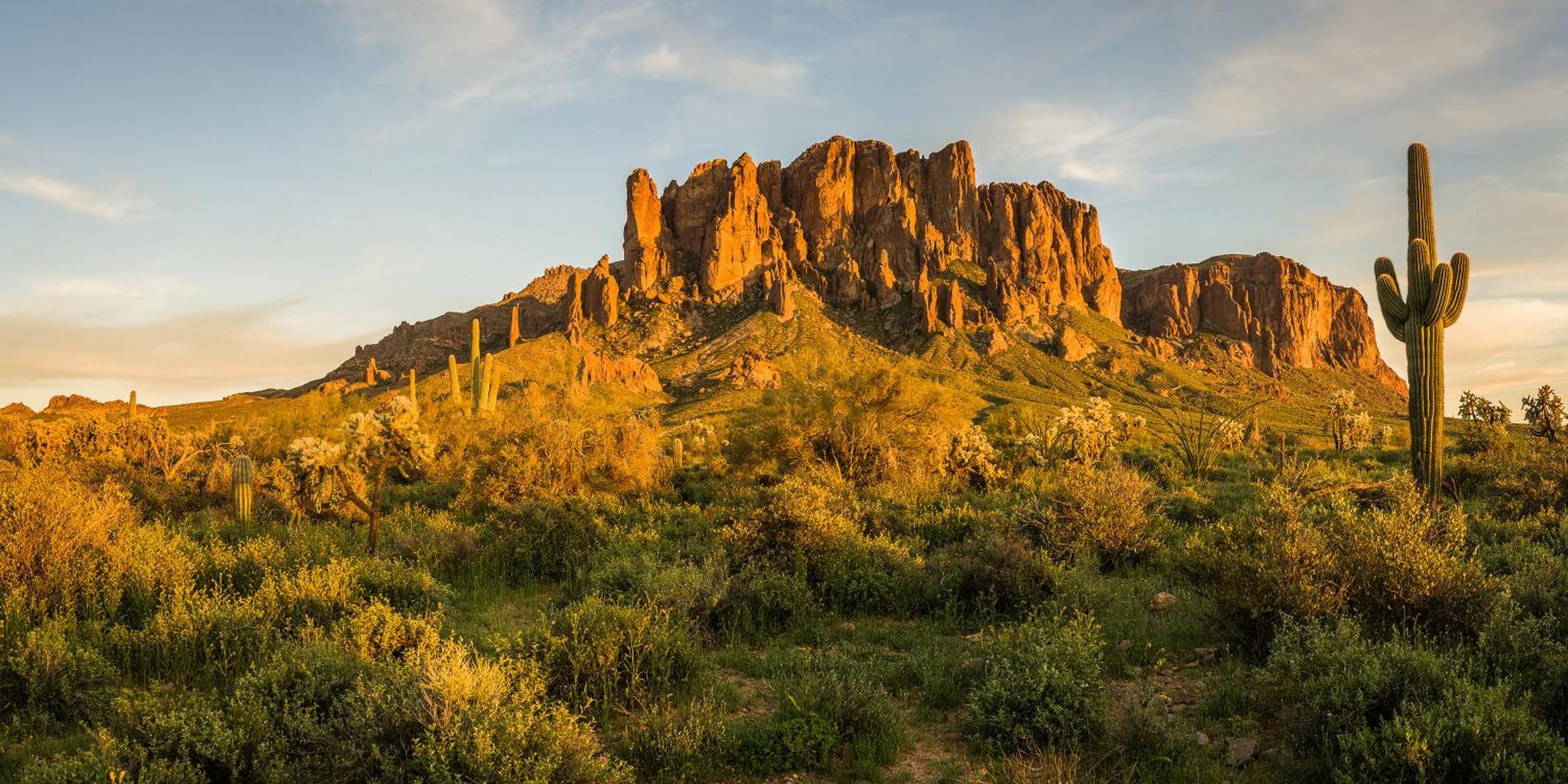 104th Mesa