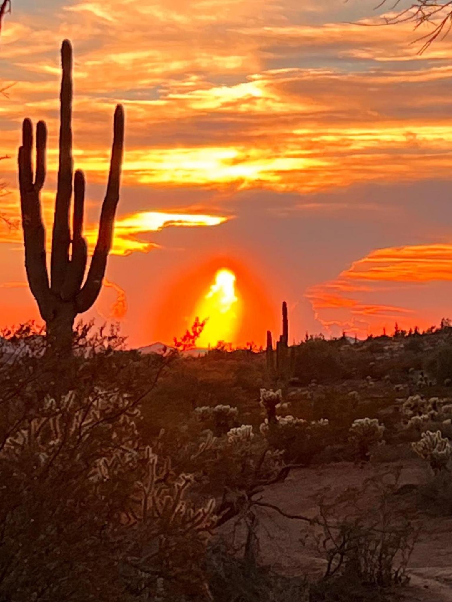 104th Mesa