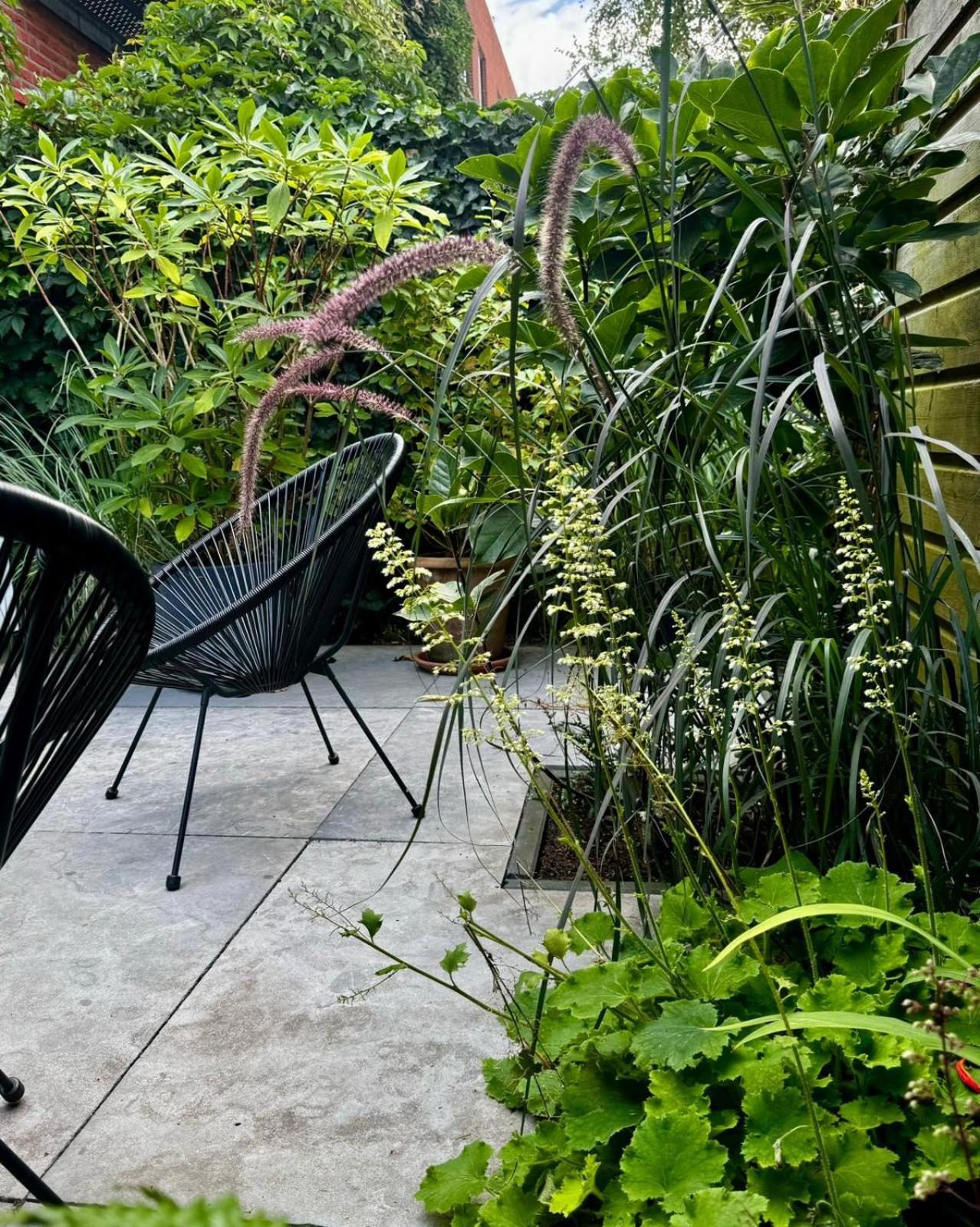B&B Urban Oasis with Free Parking