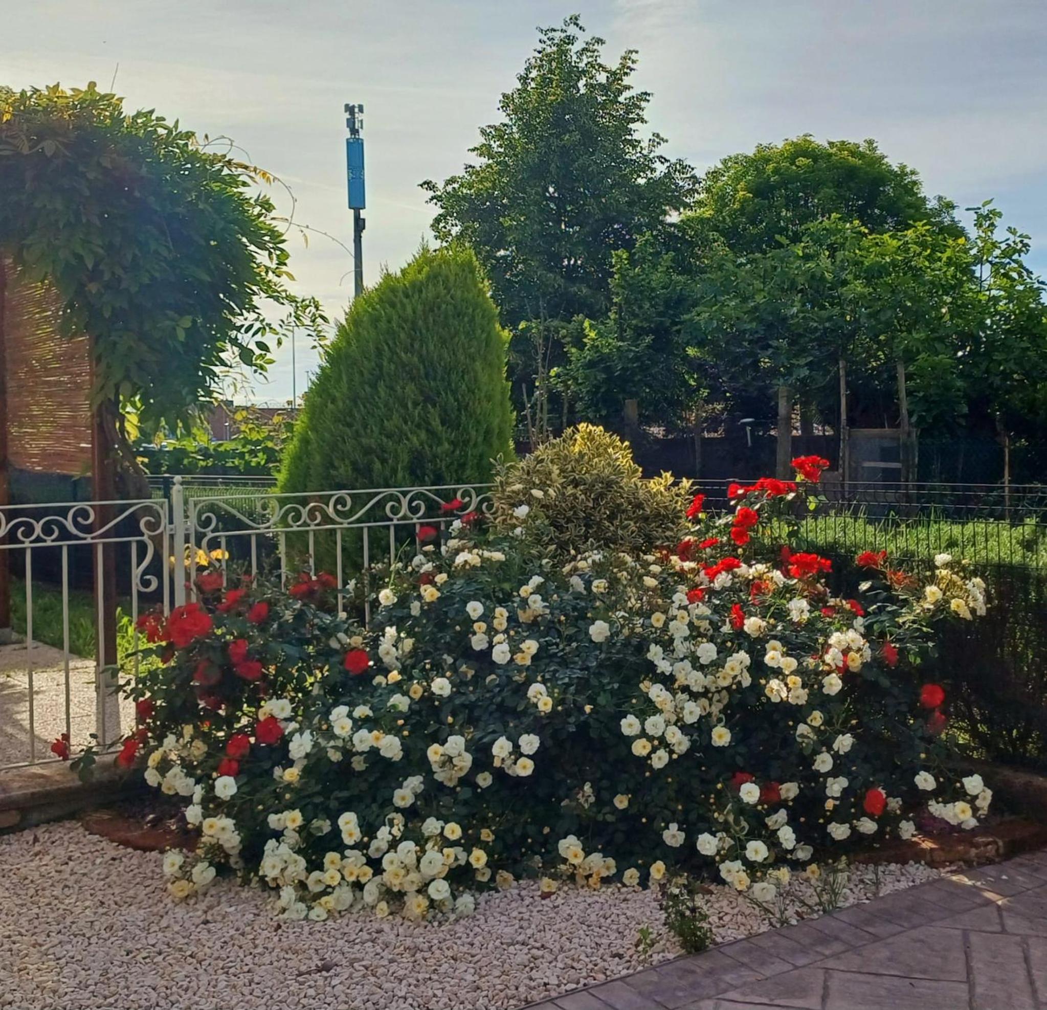 Photo 17