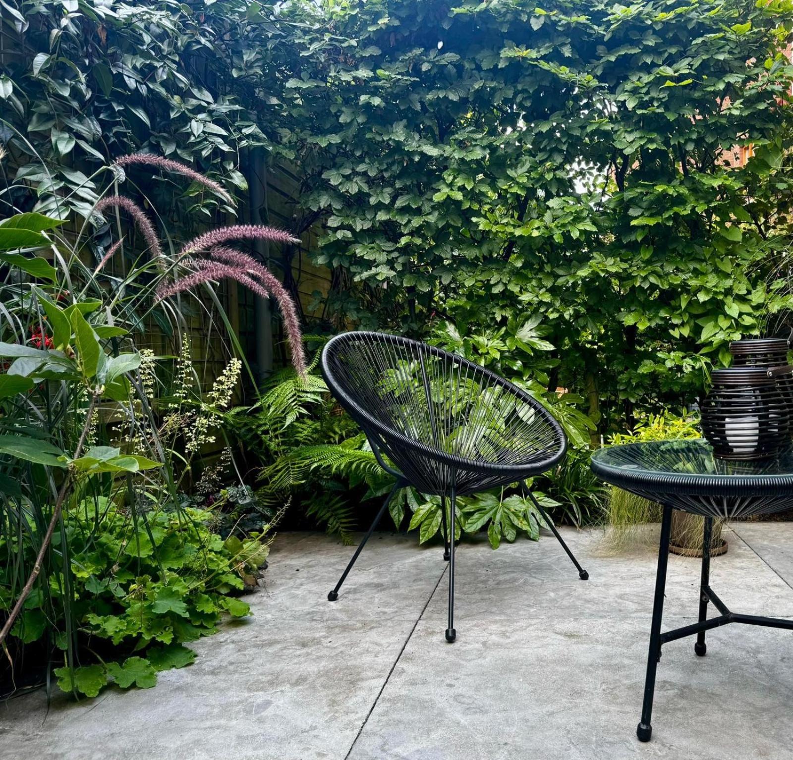 B&B Urban Oasis with Free Parking