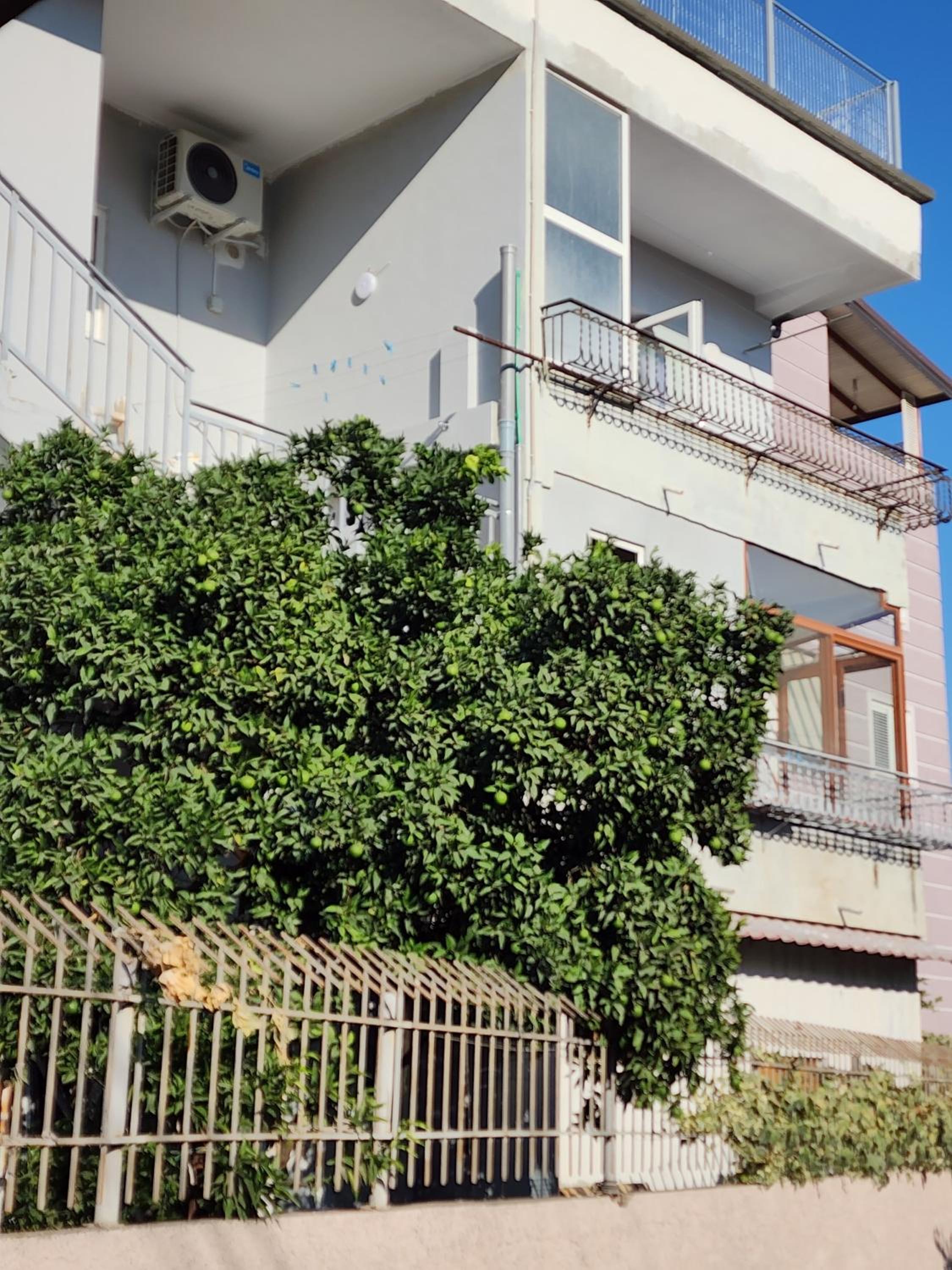 Apartment Sweet 3